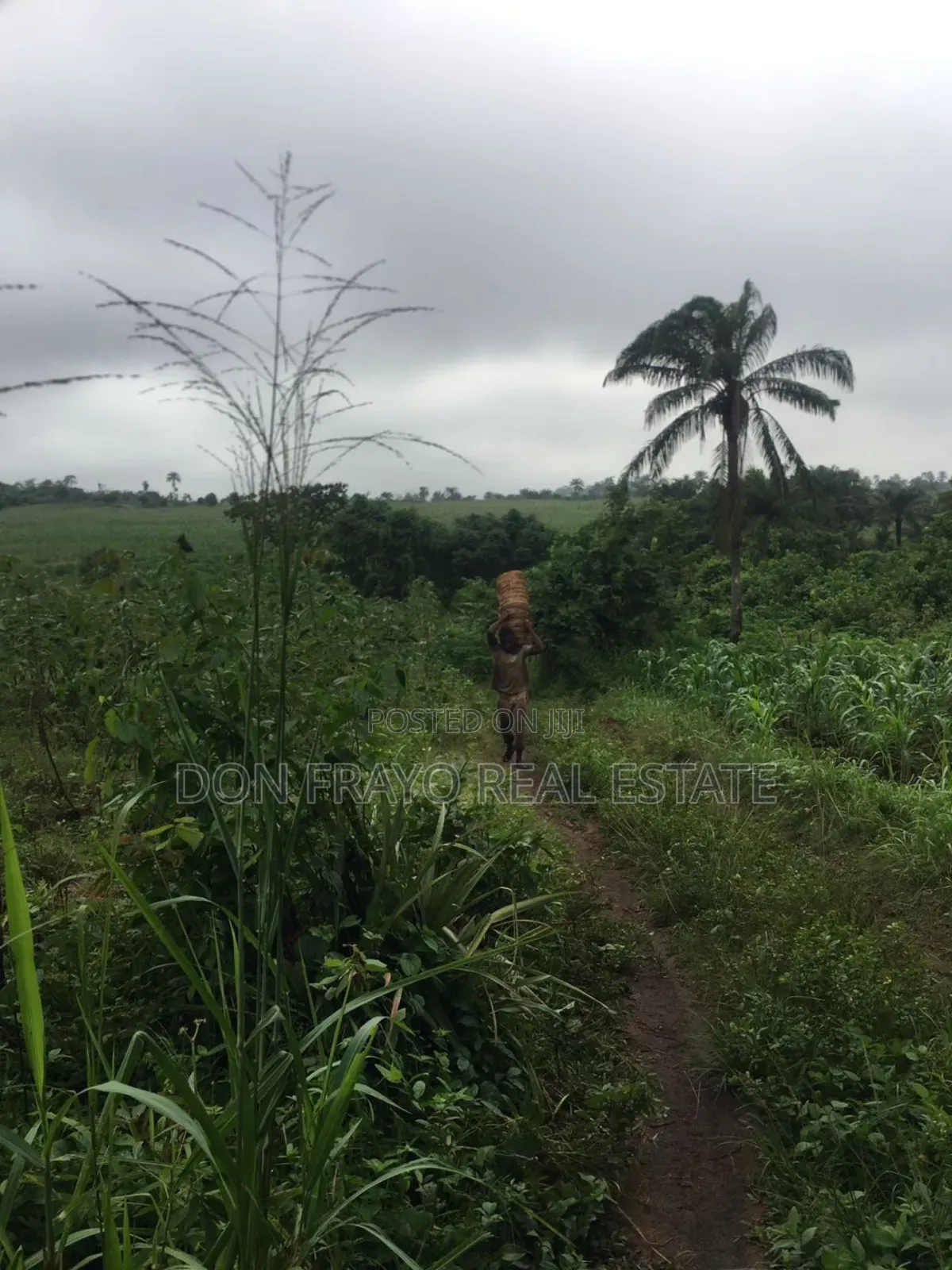 7 Acres of Farmland for Sale at Ojedeji Off Ijaye-Iseyin Exp in Ijaiye Orile