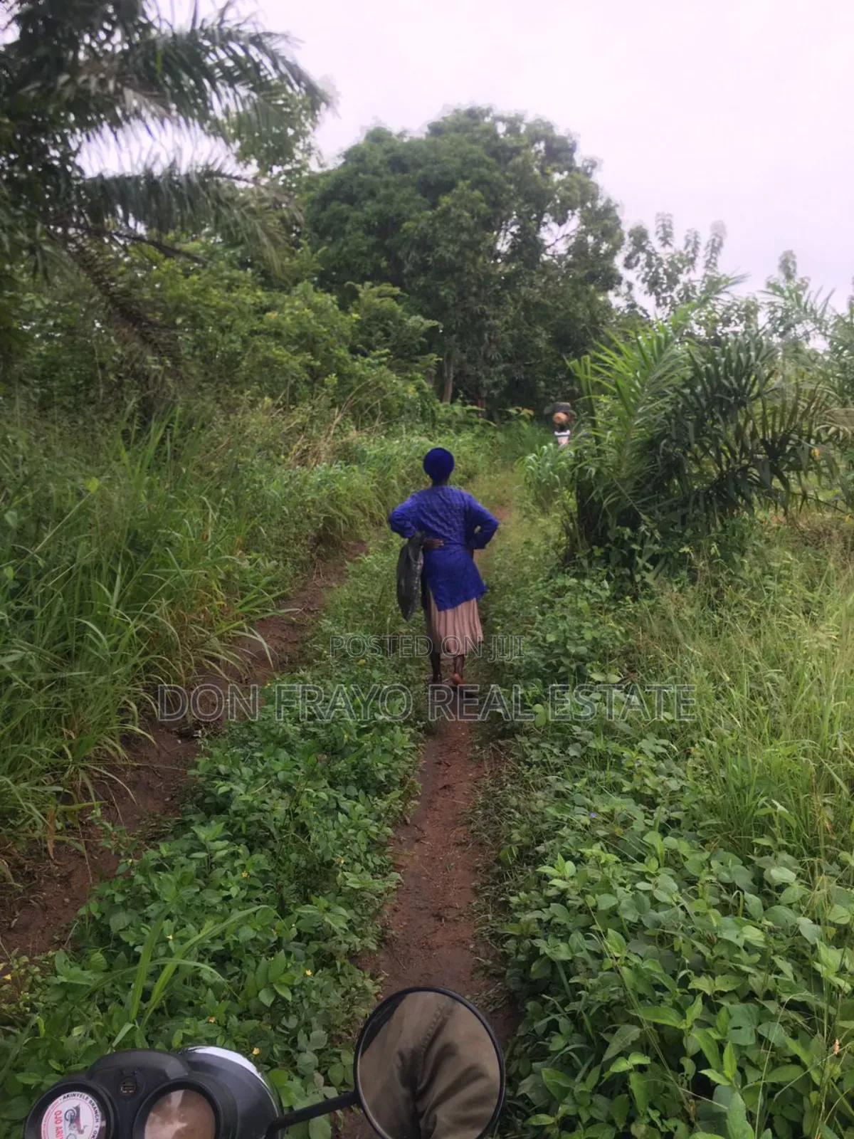 7 Acres of Farmland for Sale at Ojedeji Off Ijaye-Iseyin Exp in Ijaiye Orile