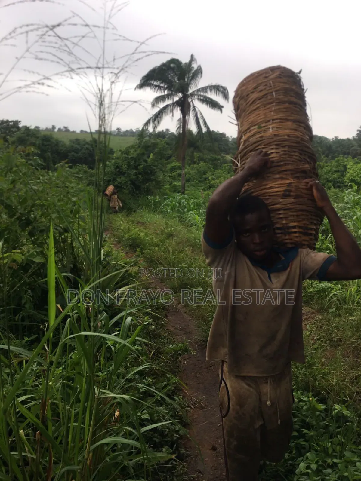 7 Acres of Farmland for Sale at Ojedeji Off Ijaye-Iseyin Exp in Ijaiye Orile