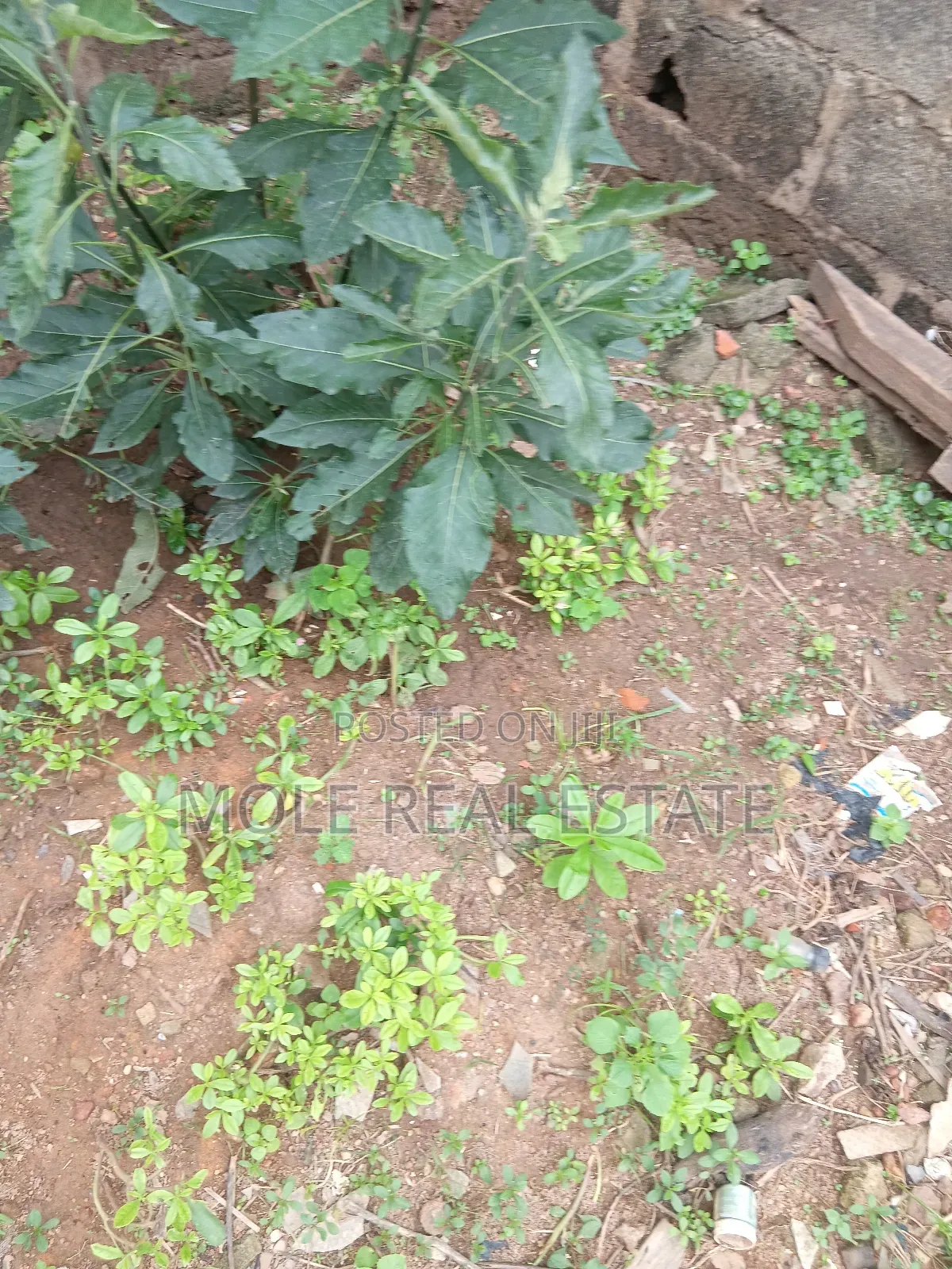 300sqm ( Half Plot) Governor's Rd By Bustop in Ikotun/Igando