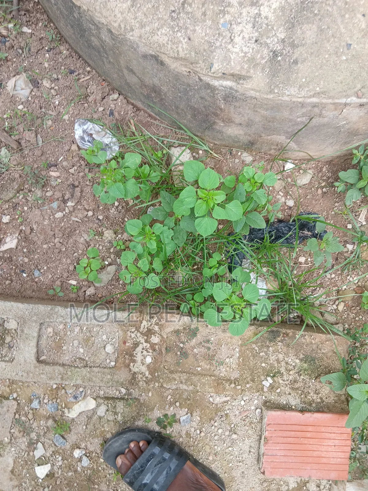 1200sqm Plot Along Anthony Maryland in Maryland