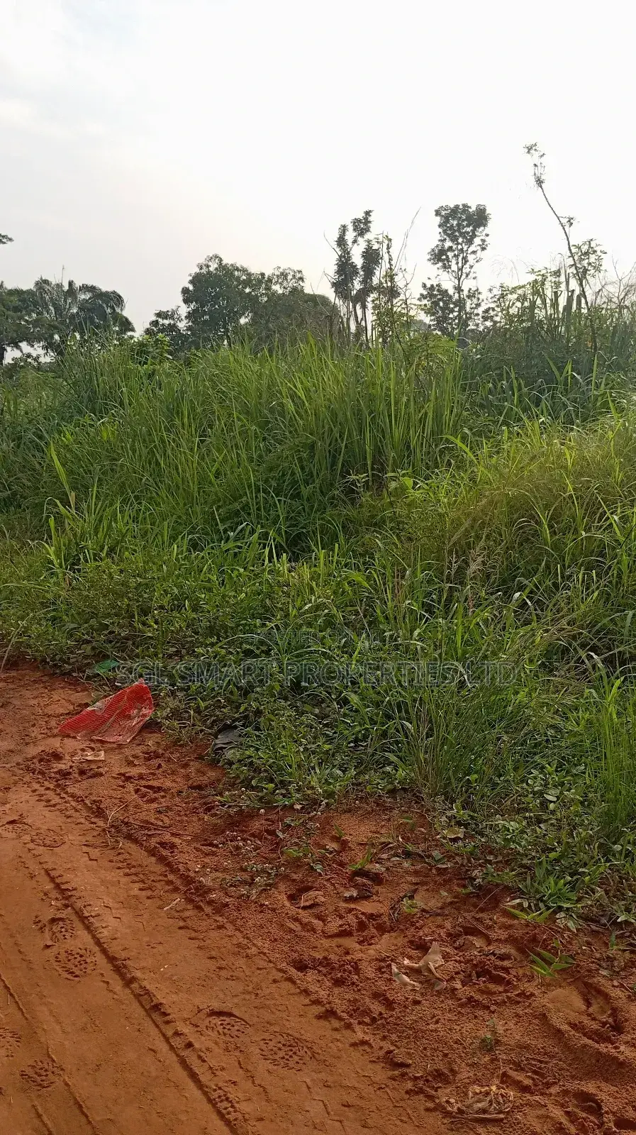 One Plot of Land at Nibo in Awka