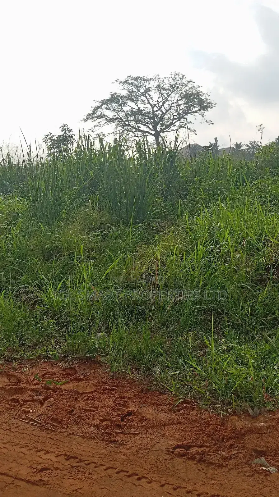 One Plot of Land at Nibo in Awka