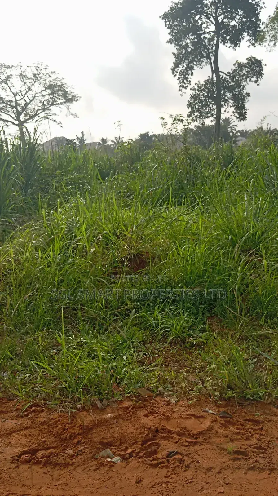 One Plot of Land at Nibo in Awka