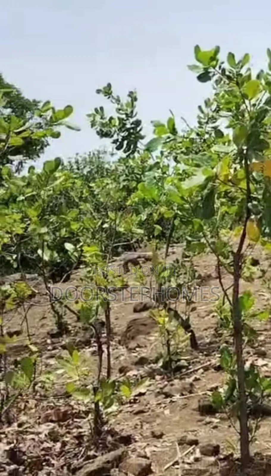 1.23 Hectares Land in Wawa for Sale in Lugbe District