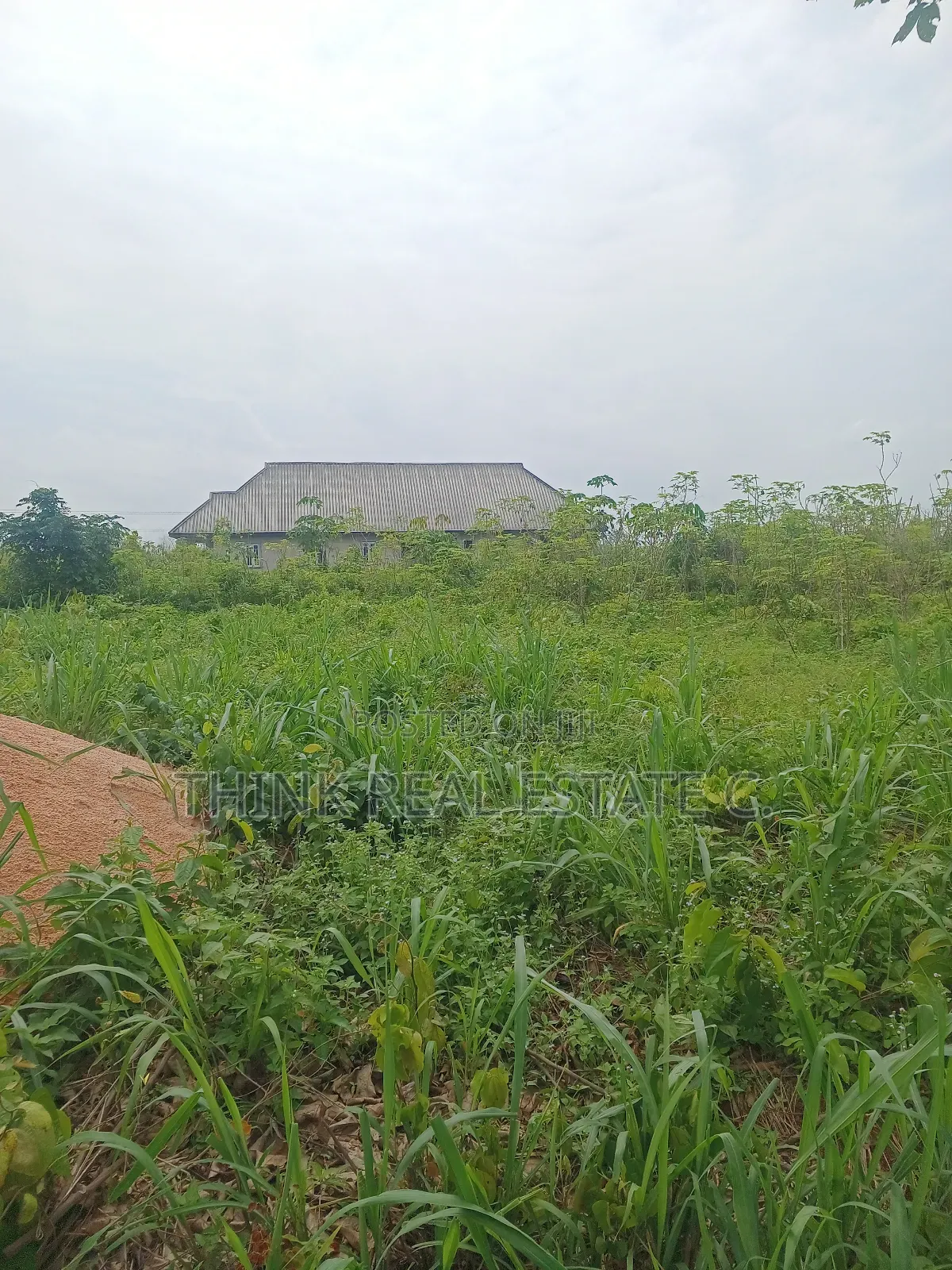 100/200 at Utekon,Oluku for 8m Net,3poles From the Tarred Rd in Benin City