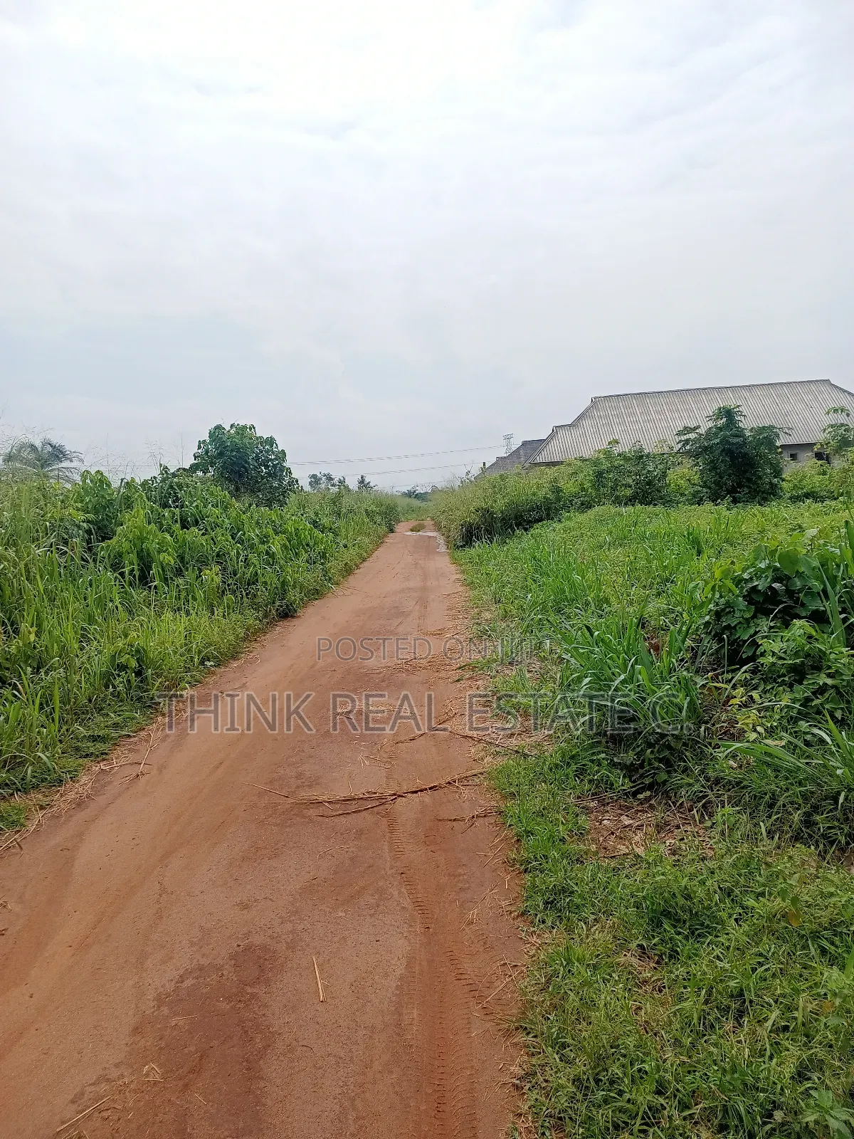100/200 at Utekon,Oluku for 8m Net,3poles From the Tarred Rd in Benin City