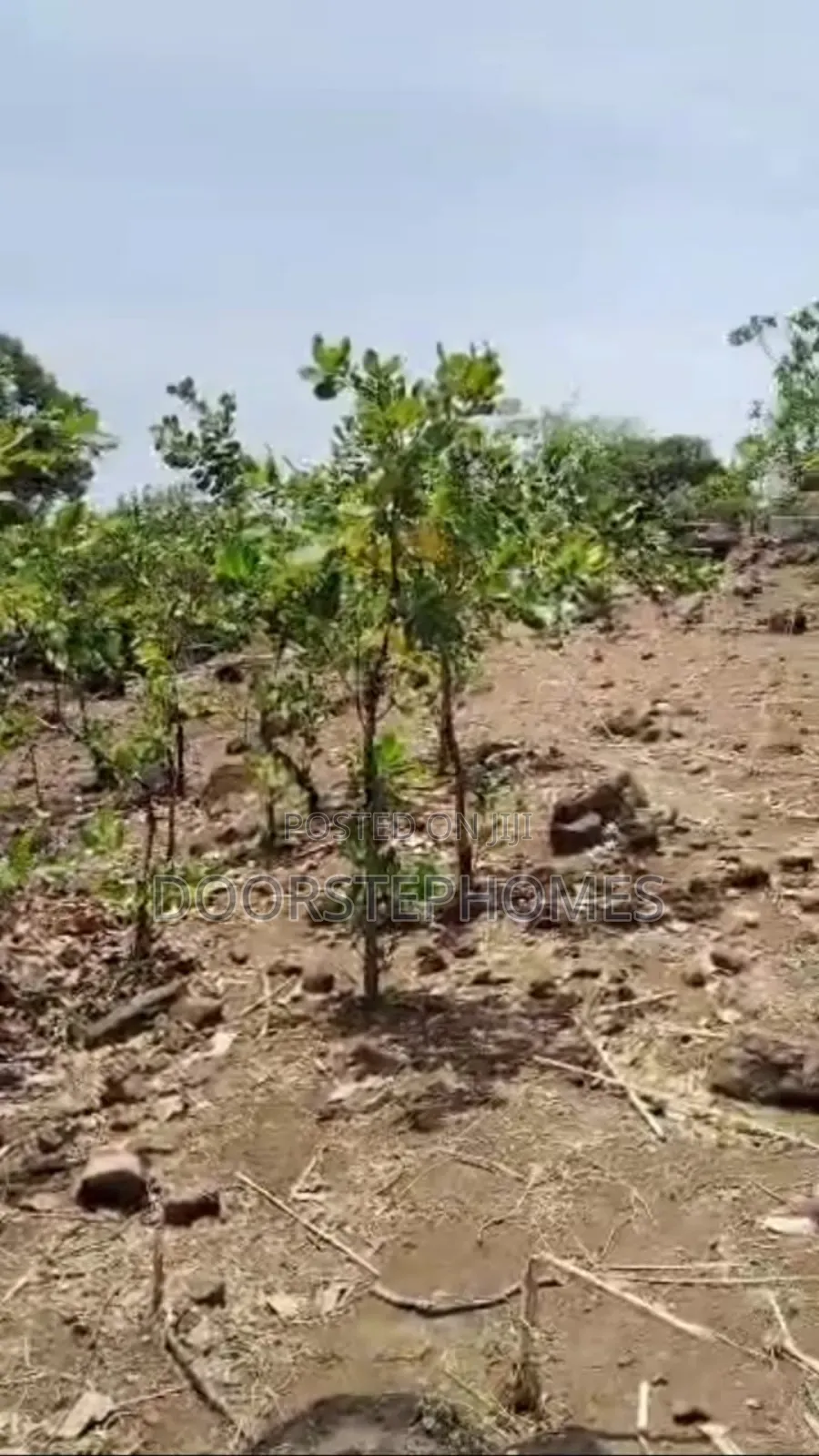 1126.50sqm Land in Dape Lifecamp for Sale in Life Camp