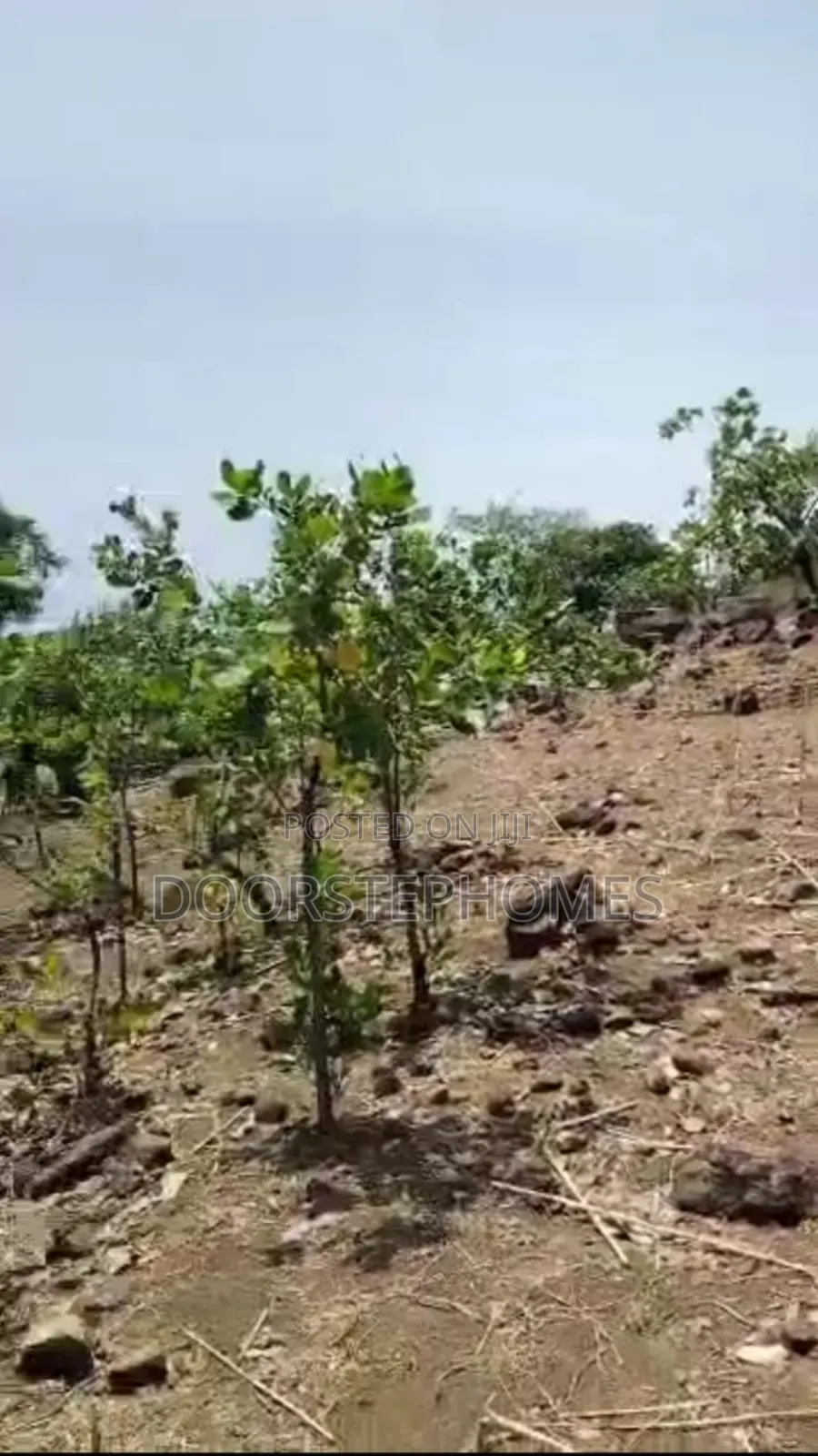 1126.50sqm Land in Dape Lifecamp for Sale in Life Camp