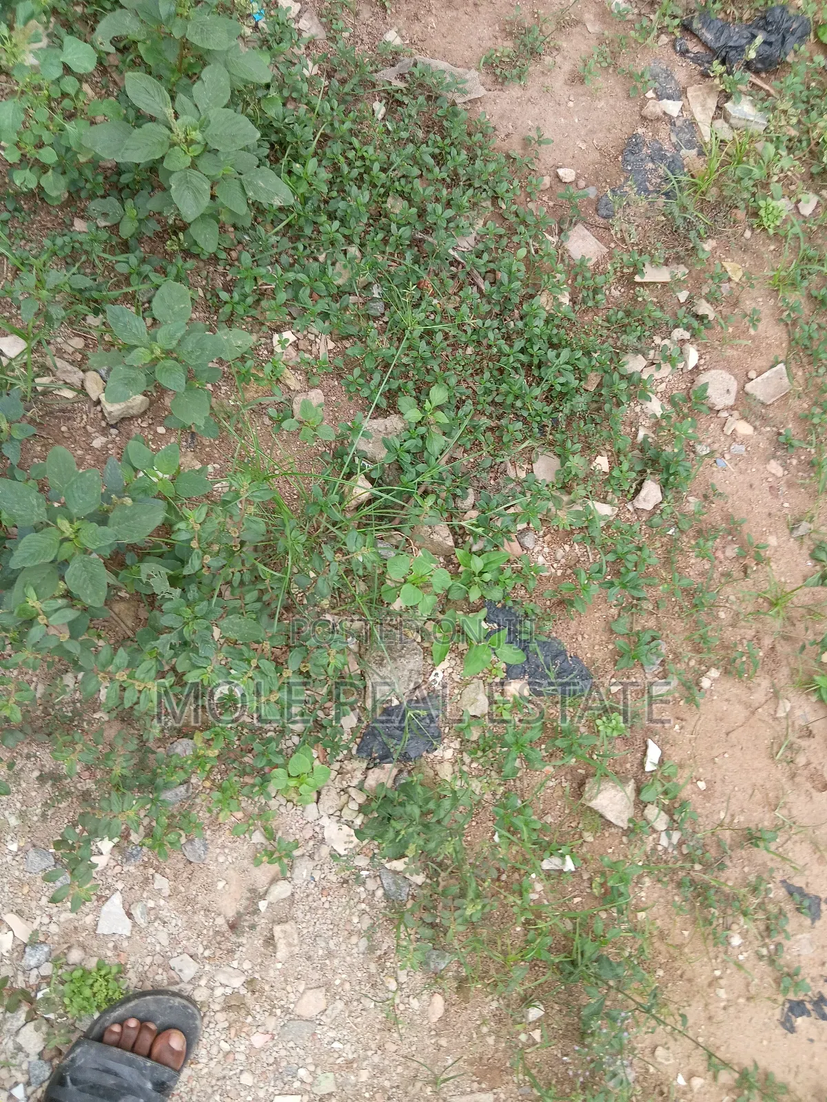Plots 4 Sale/ Rent Ikotun Iguando June 2025 in Alimosho