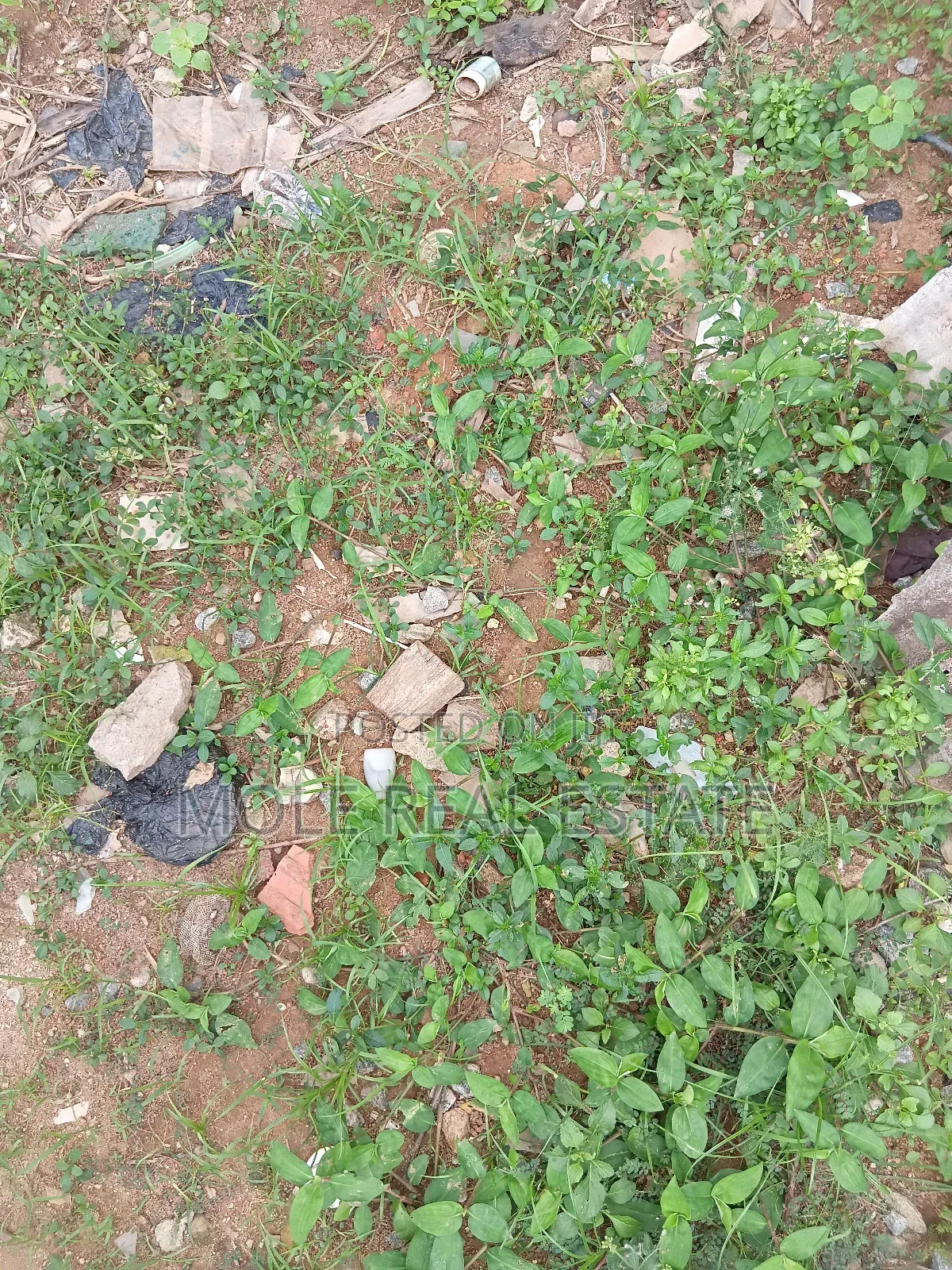 Plots 4 Sale/ Rent Ikotun Iguando June 2025 in Alimosho