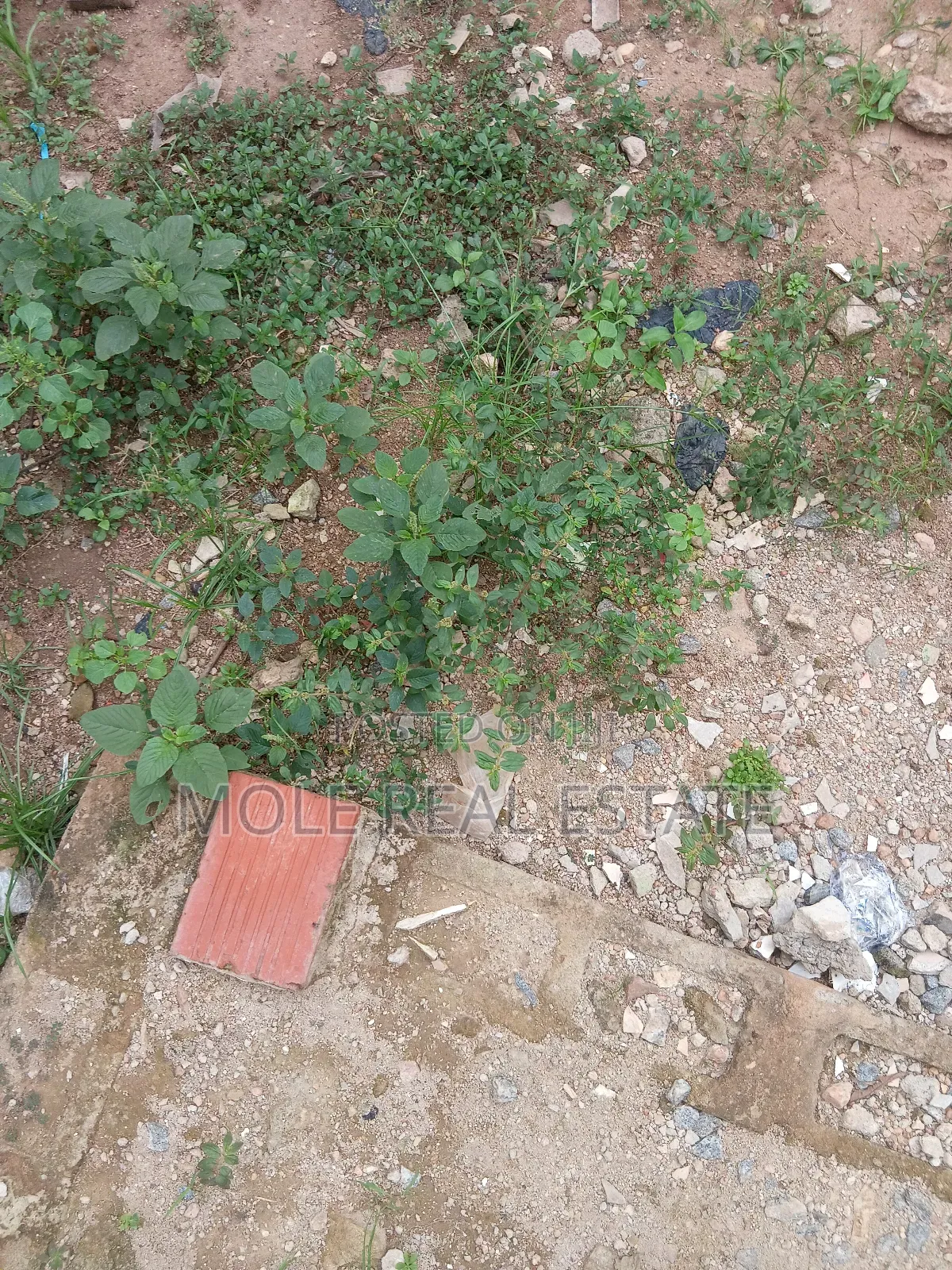 1200sqm Plots 4 Sale /Lease Ikotun Ijegun in Igando / Ikotun/Igando