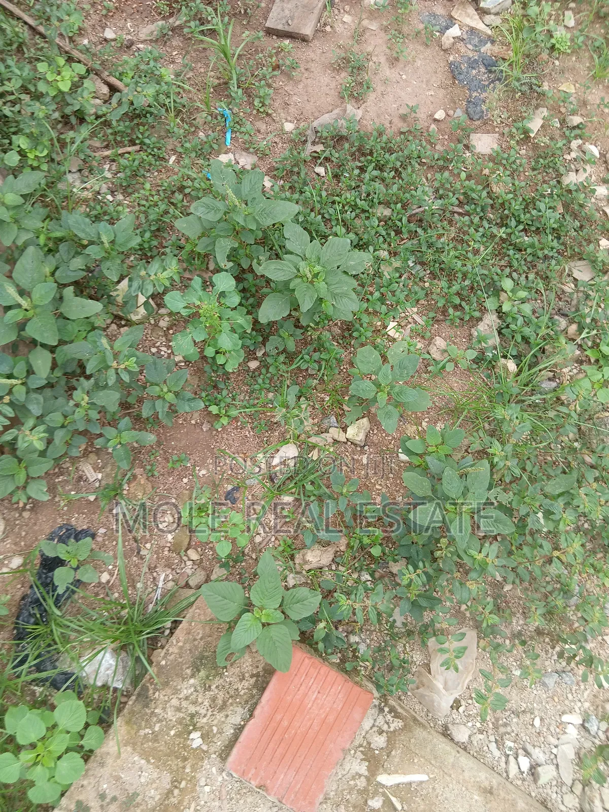 300sqm Plots 4 Sale /Lease Egbeda Alimosho in Igando / Ikotun/Igando