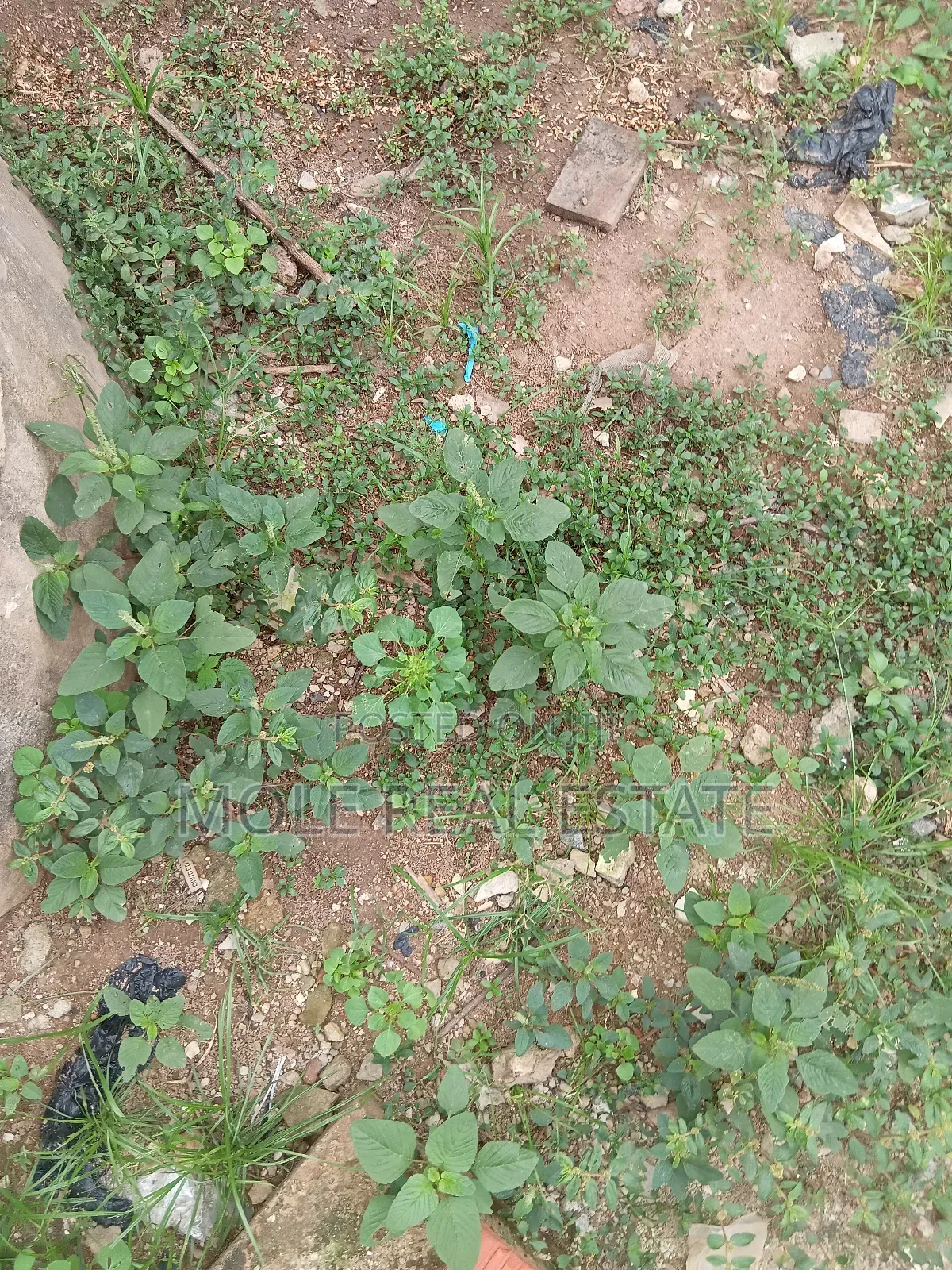 300sqm Plots 4 Sale /Lease Egbeda Alimosho in Igando / Ikotun/Igando