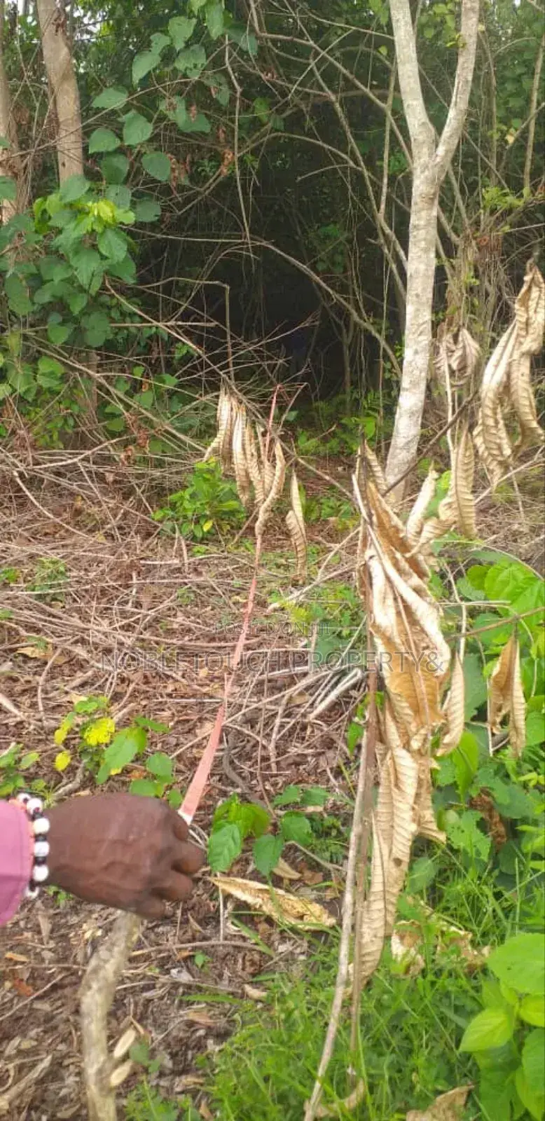 Dry Table Land at Agbowa Ikorodu Lagos in Agbowa