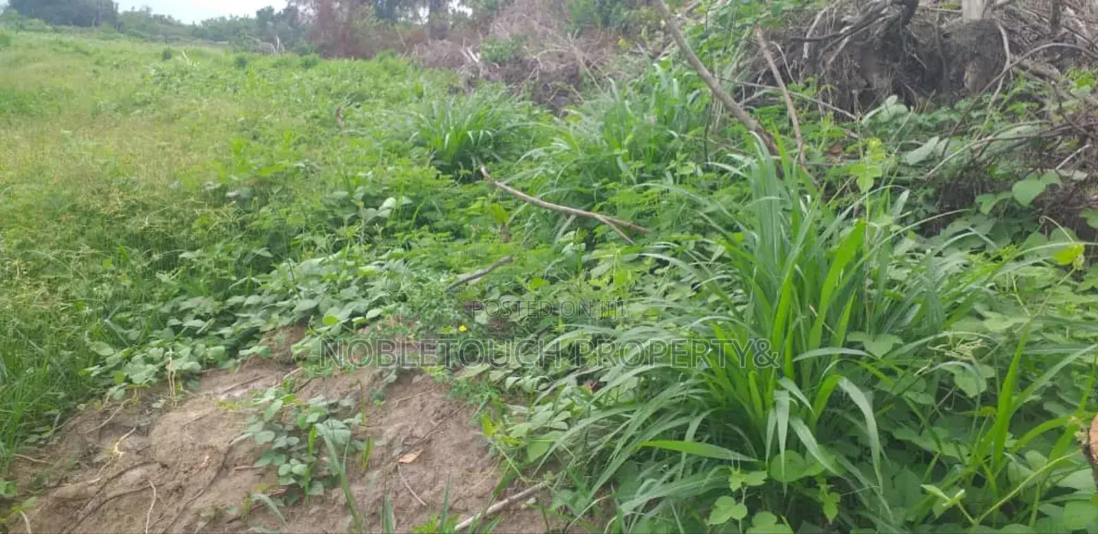 Dry Table Land at Agbowa Ikorodu Lagos in Agbowa