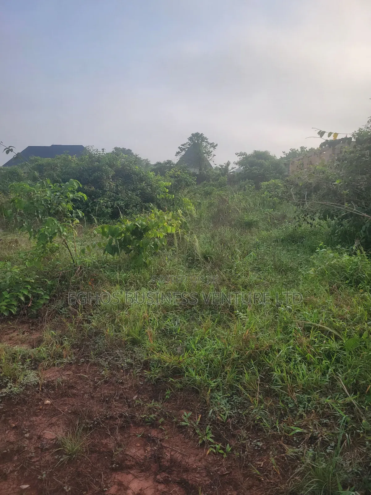 1 by 2 100ft by 150ft Land for Sale at Second Utagban in Benin City