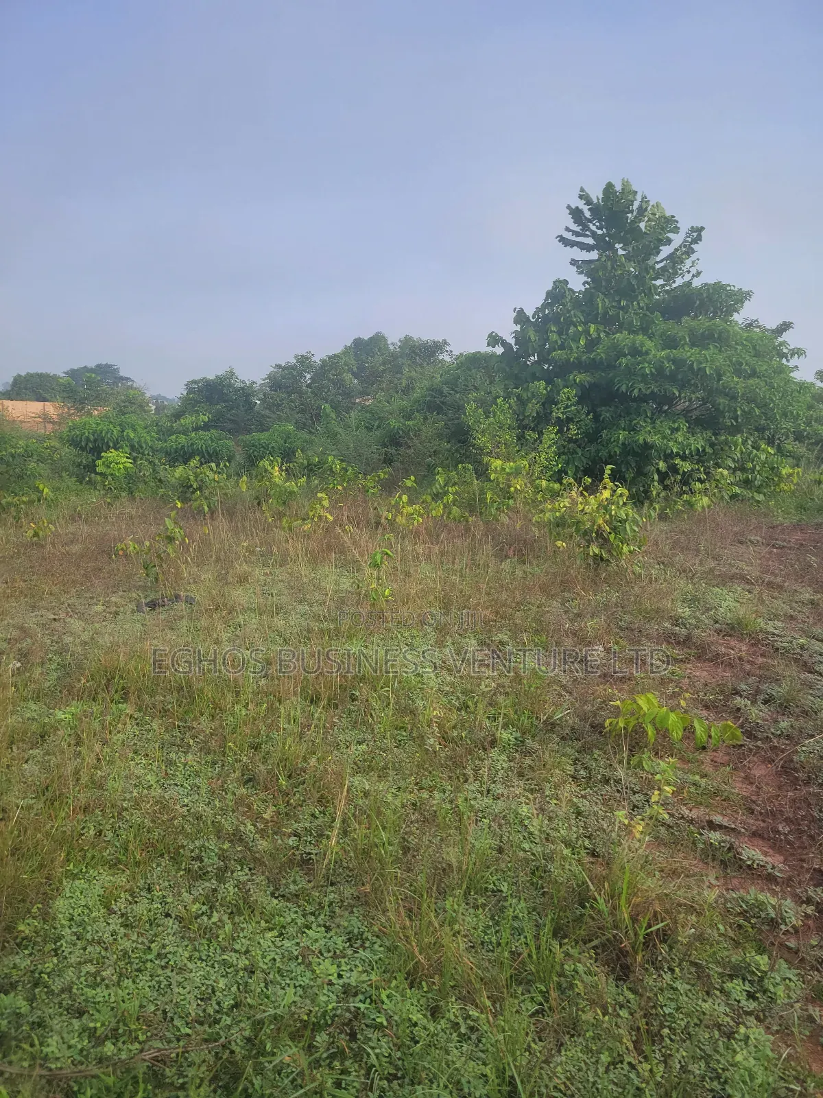 1 by 2 100ft by 150ft Land for Sale at Second Utagban in Benin City