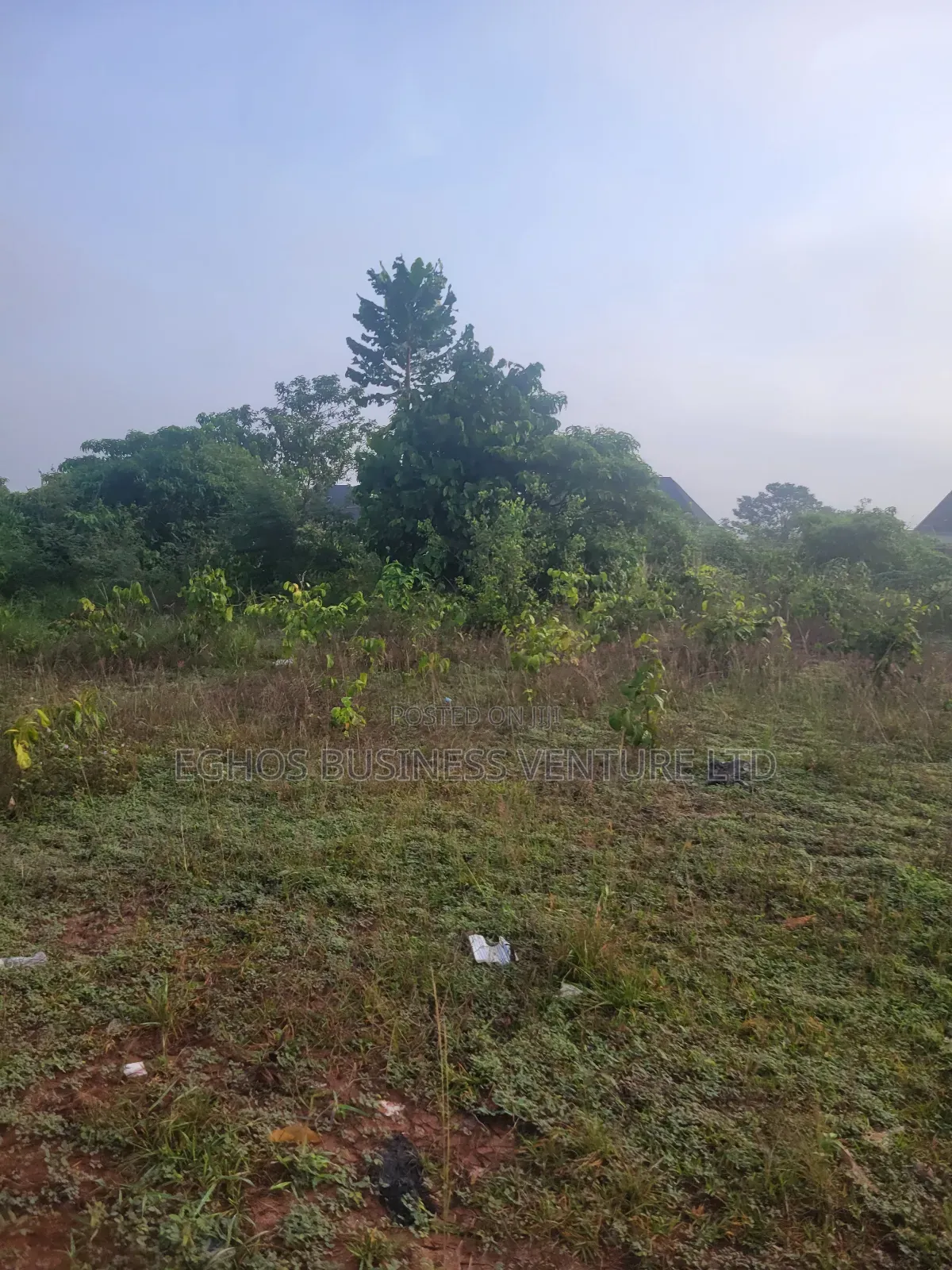 1 by 2 100ft by 150ft Land for Sale at Second Utagban in Benin City