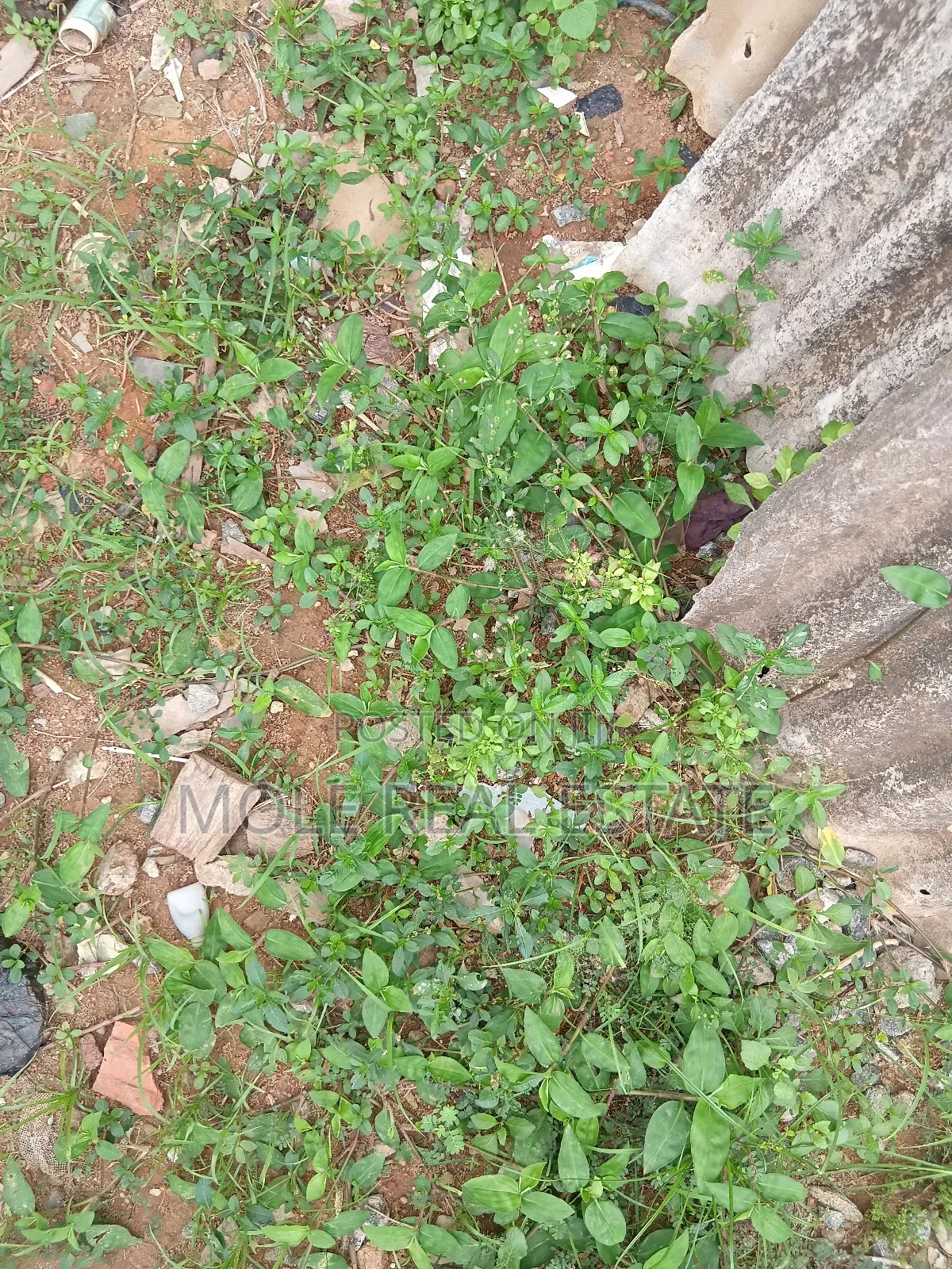 6,592sqm Plot Barre Land By Vgc Leki in Lekki