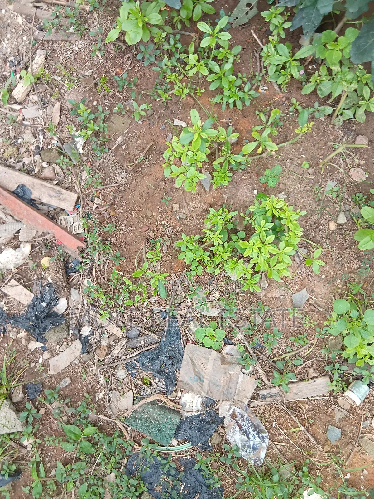 300sqm Plot Ishitu Iguando Guided Round Near Rd in Ikotun/Igando