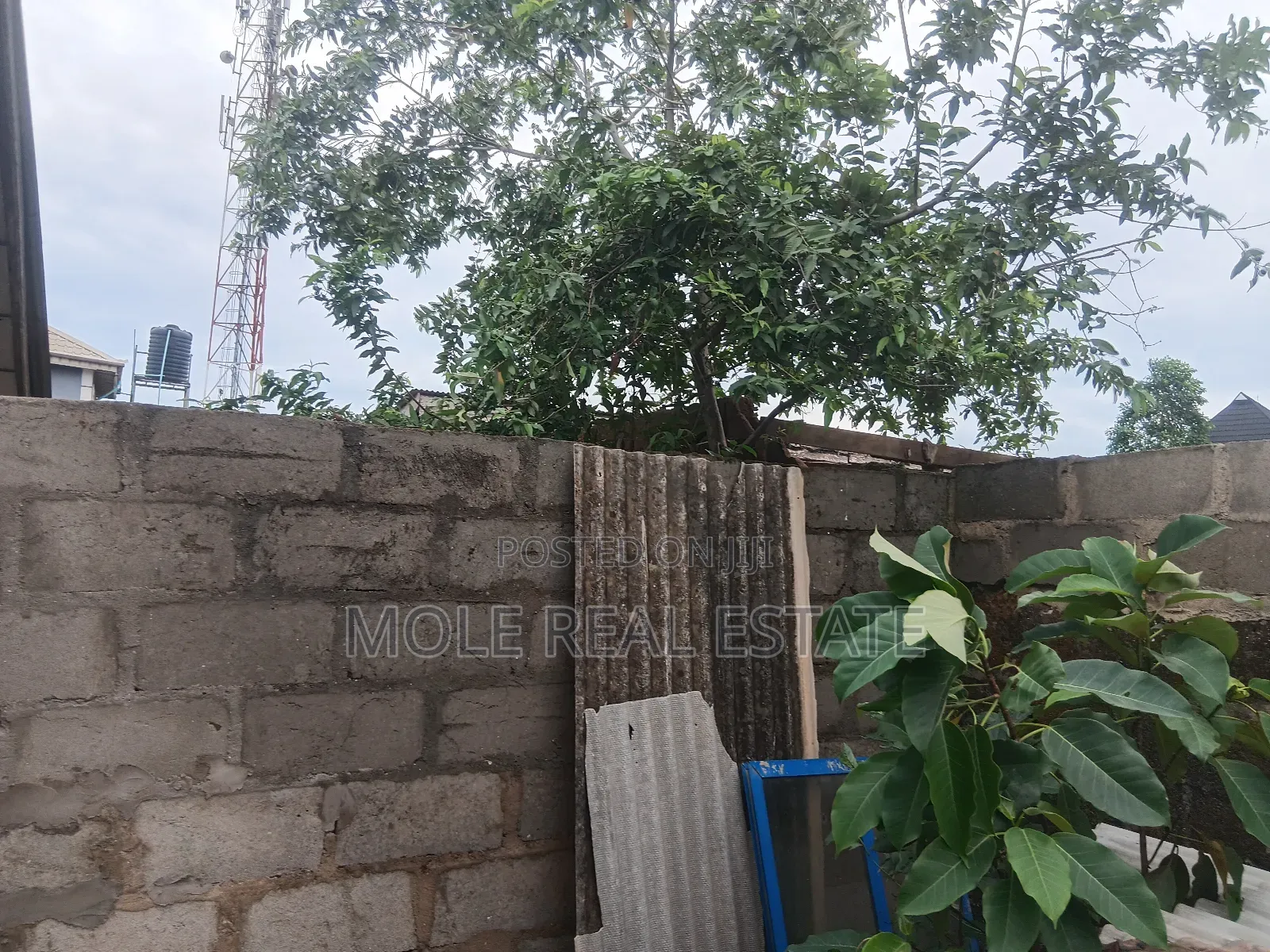 Six Hecters of Poultry Fish Farm Ipokia Ogun State in Ipokia