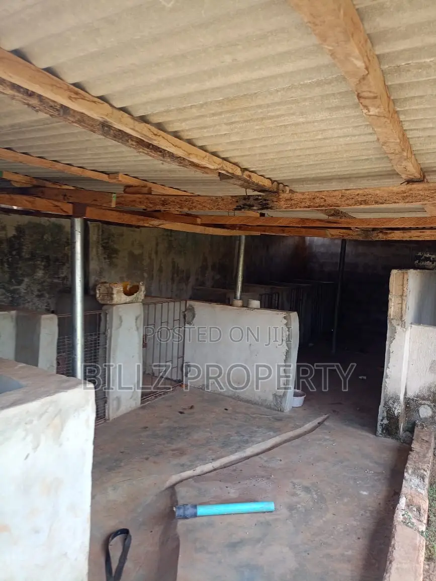 A Big Poultry for Sale in Ado-Odo/Ota