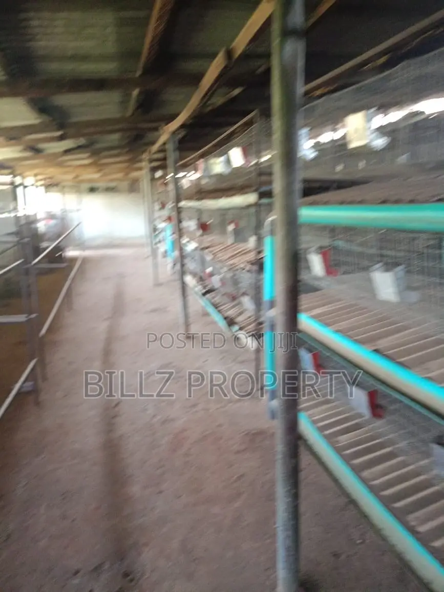 A Big Poultry for Sale in Ado-Odo/Ota