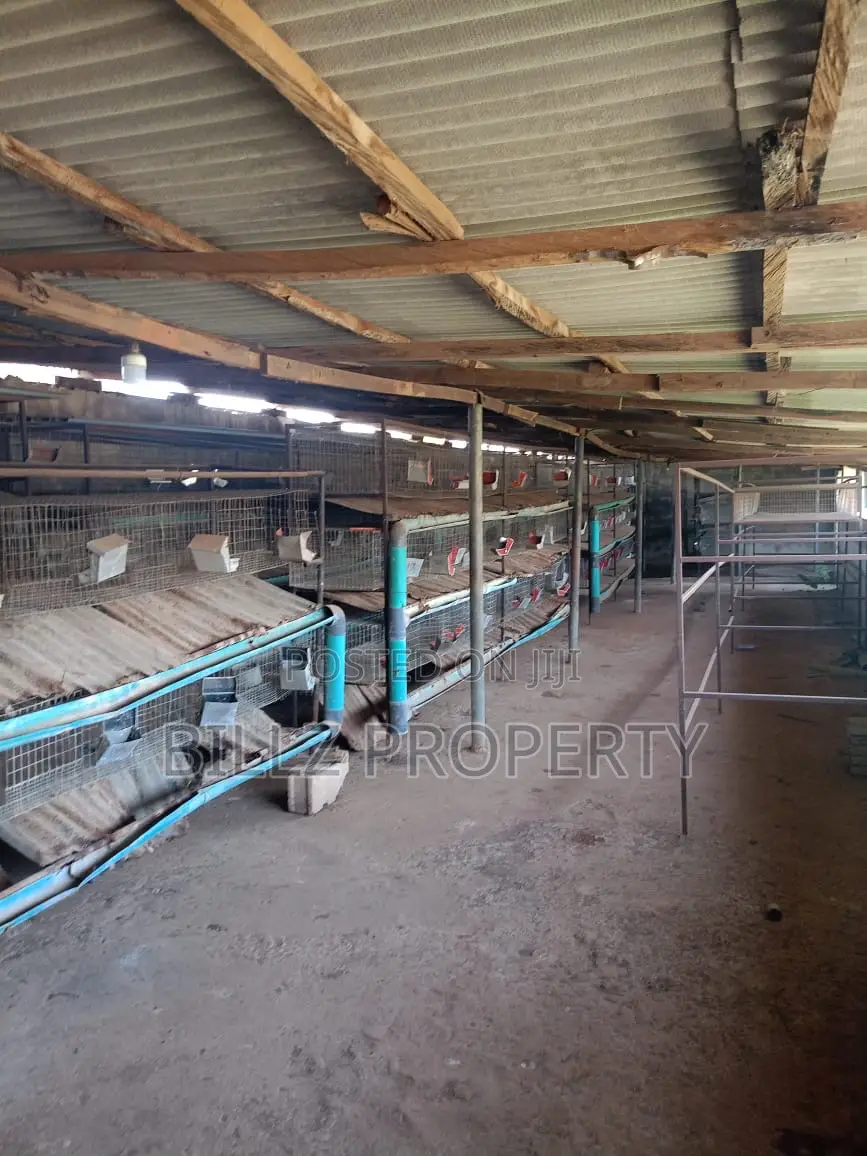 A Big Poultry for Sale in Ado-Odo/Ota