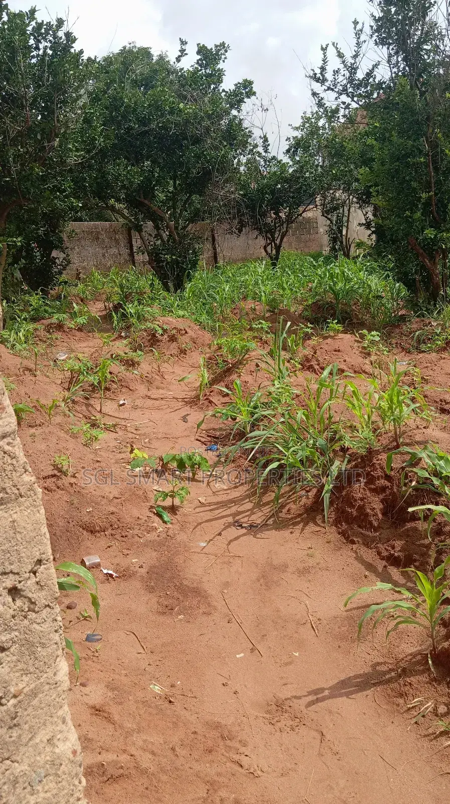 1 Plot of Land for Sale Aguoye Mini Estate in Awka