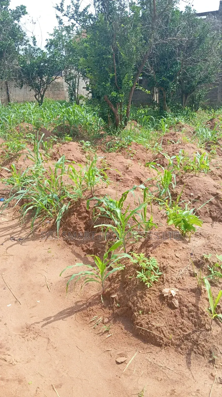 1 Plot of Land for Sale Aguoye Mini Estate in Awka
