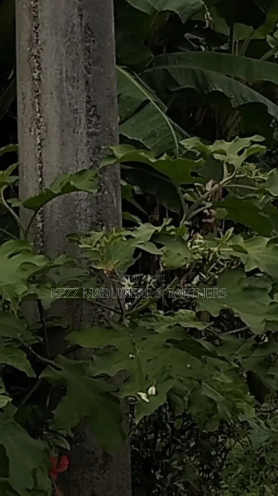 For Sale : 63 Resale Plots of Land at Ozuoba Ph in Port-Harcourt
