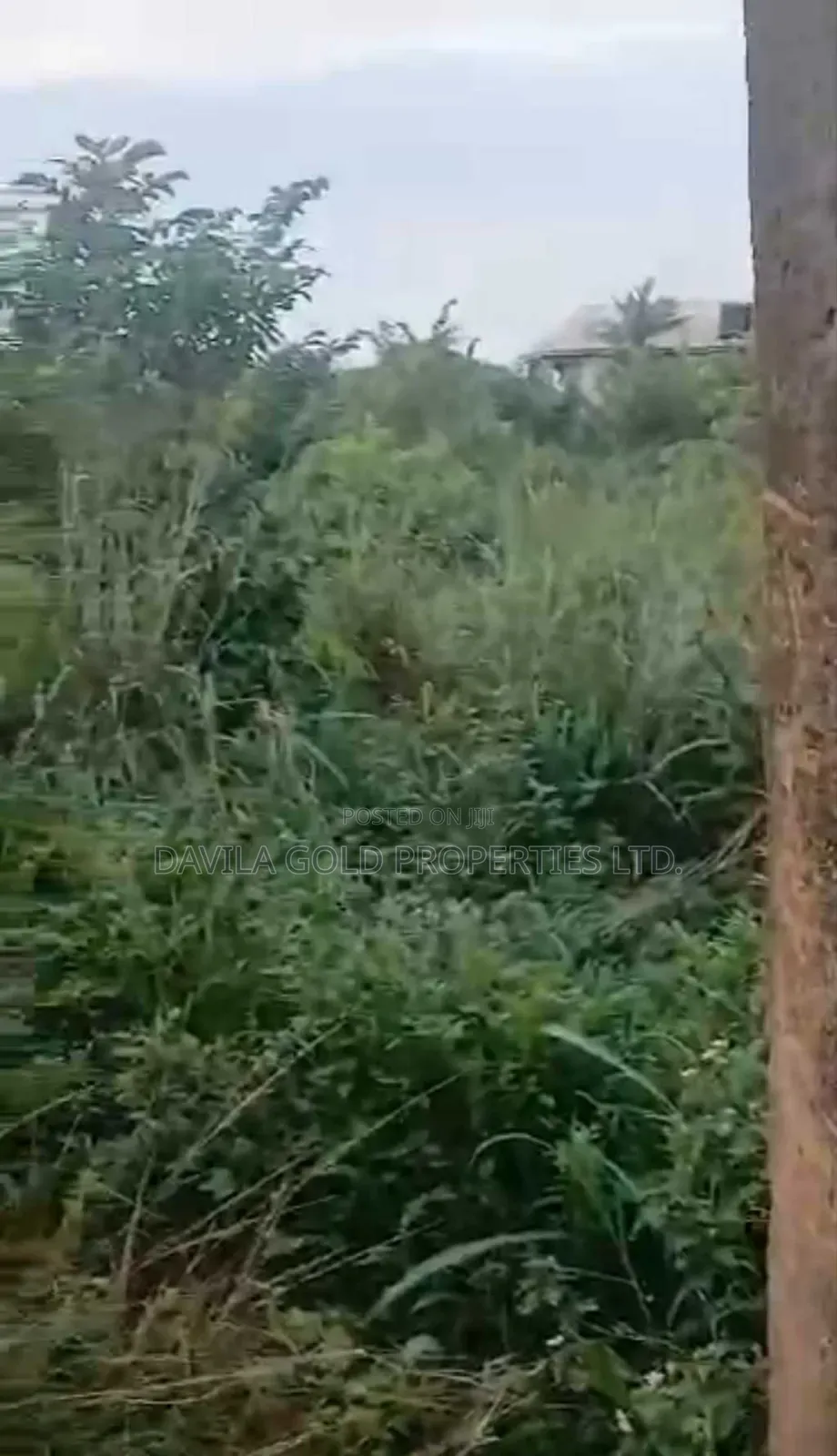 A Valuable Land for Sale in Benin City