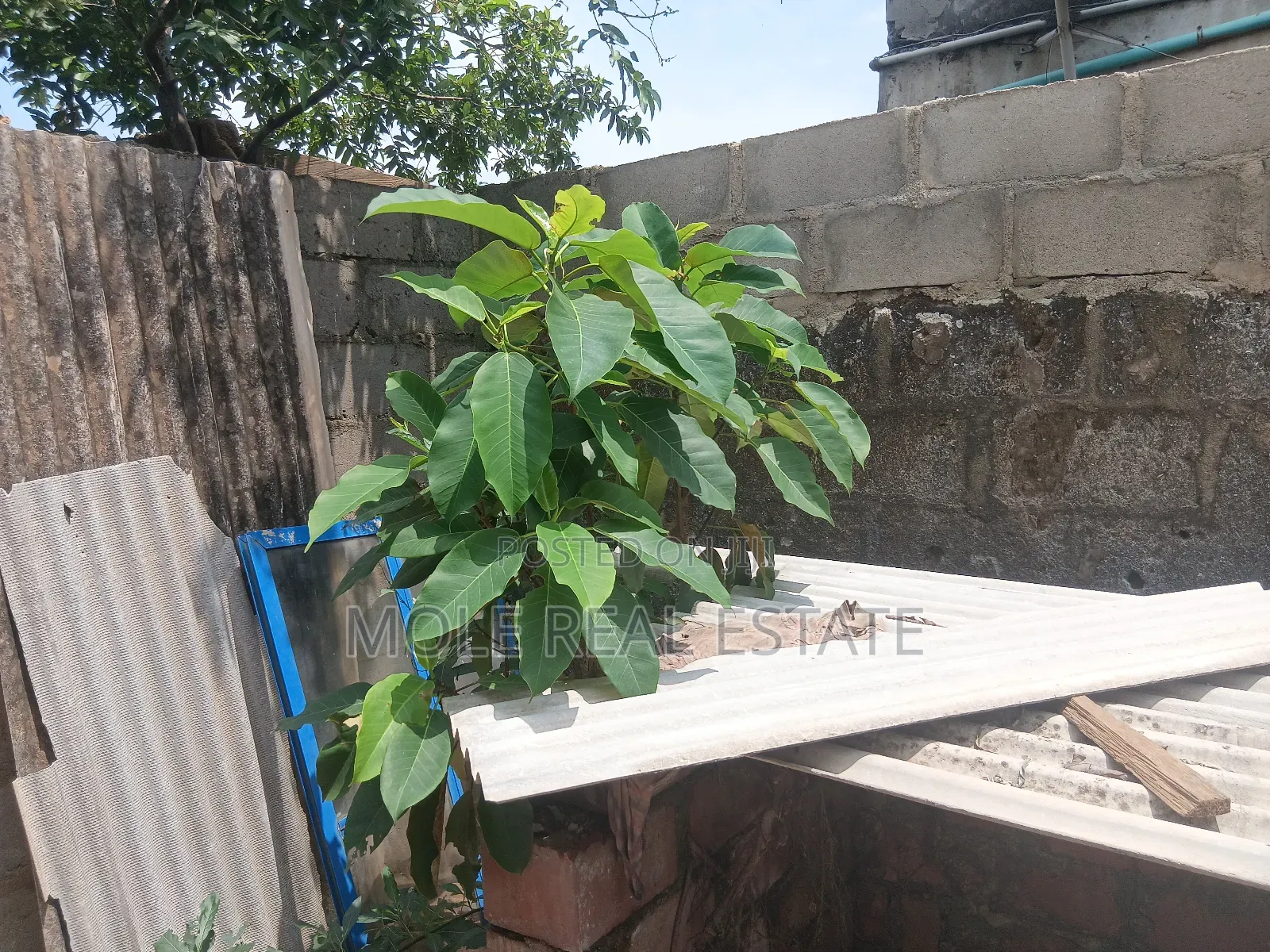56 Acers of Land Lisa Adefolu Obafemi Owode Ogun State in Obafemi-Owode