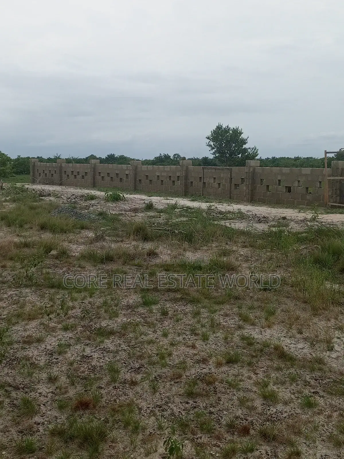 Affordable Land in Obodo Community Warri Delta State in Warri