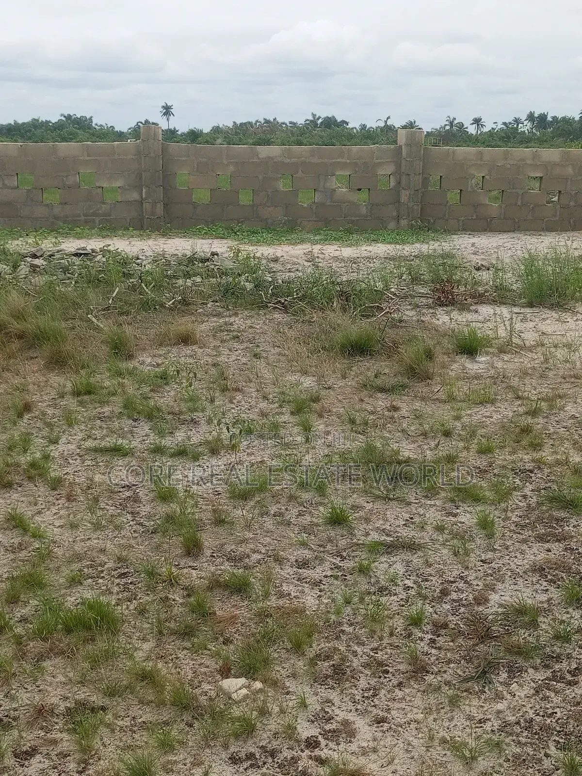 Affordable Land in Obodo Community Warri Delta State in Warri