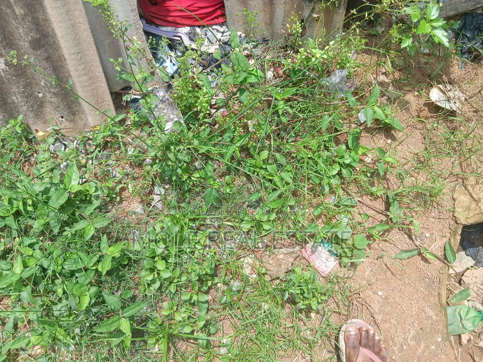 300sqm (Half Plot ) Governor's Rd Ikotun Close to Bustop in Governors Road