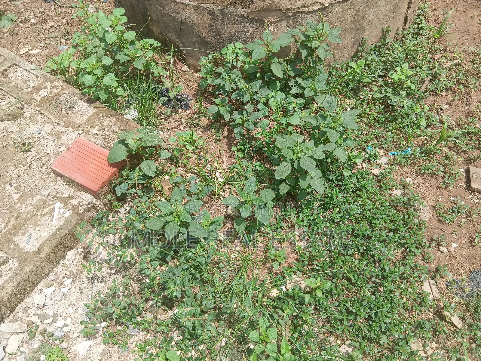 600sqm Plot Off Otumba Bamidele Governor's Rd Ikotun in Shagari