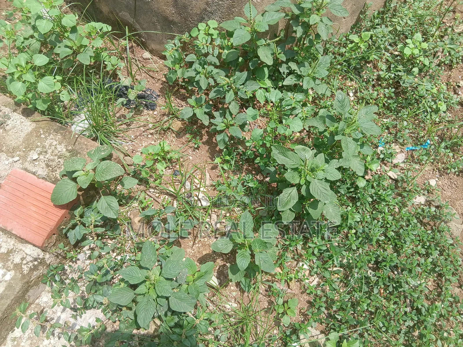 600sqm Plot Off Otumba Bamidele Governor's Rd Ikotun in Shagari