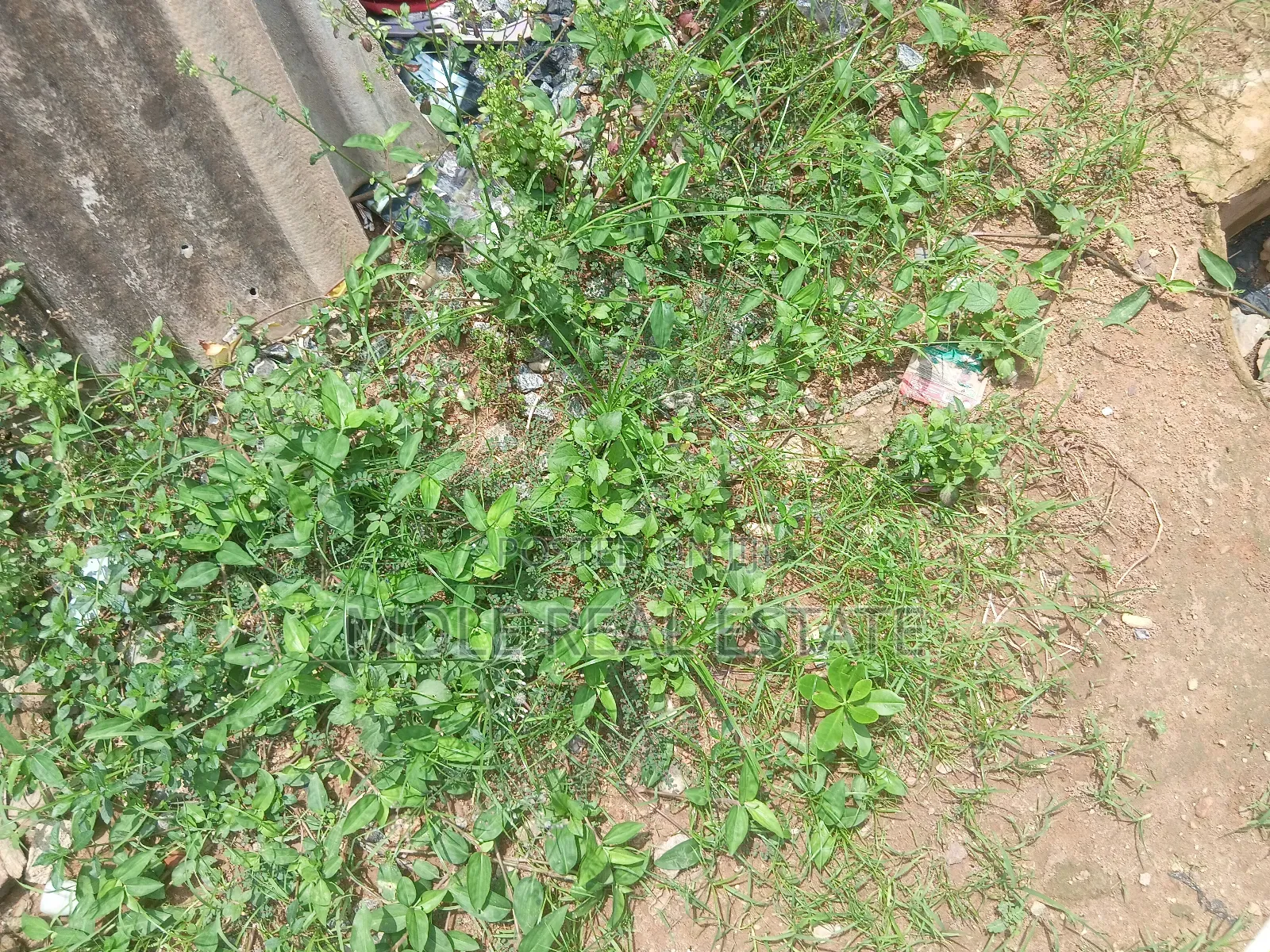 Full Plot Ijegun New Road 10% Initial Deposit Install Mental in Ijegun