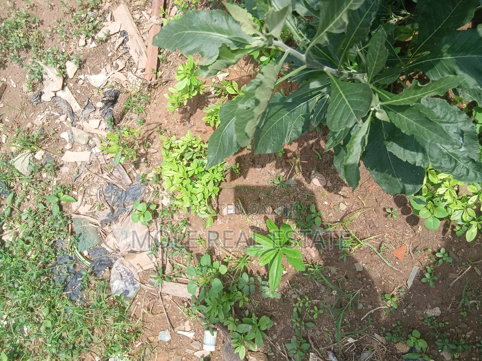 1000ßqm Plot Admiralty Way 4 Sale Direct Bank Asset in Lekki Phase 1