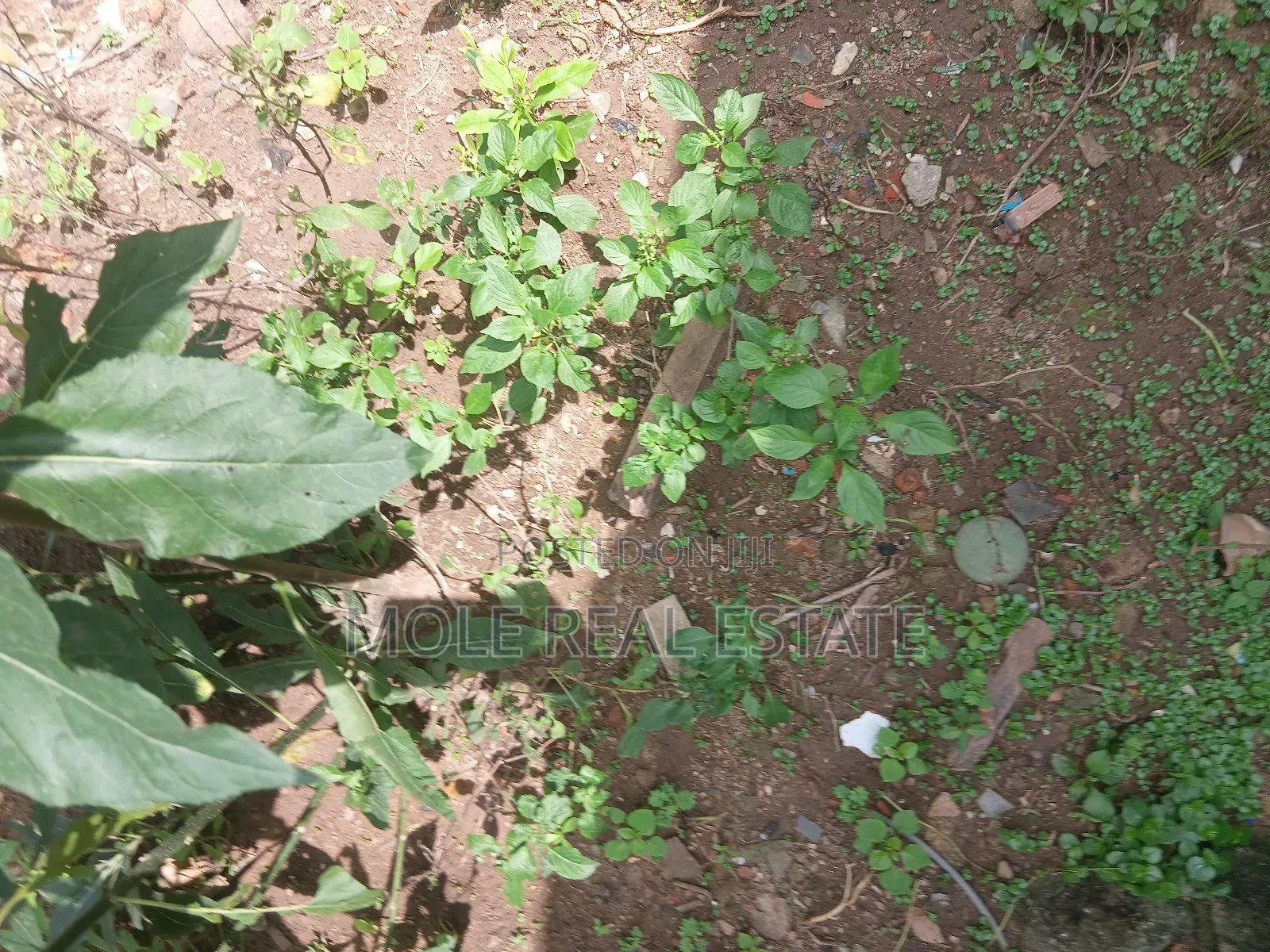 1000ßqm Plot Admiralty Way 4 Sale Direct Bank Asset in Lekki Phase 1