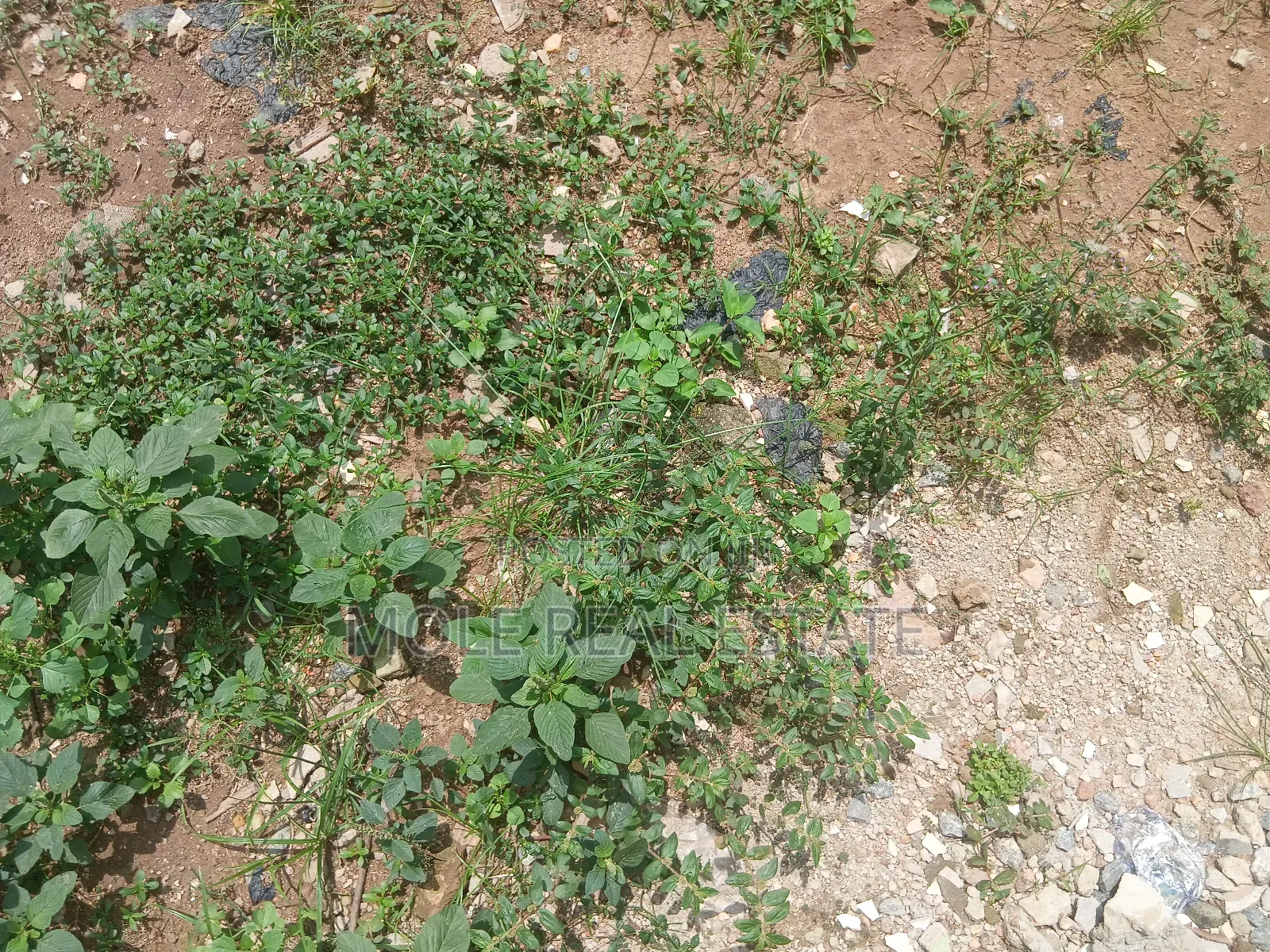 1204sqm Plot Sales ( Jv) Victoria Island Joint Venture in Ijegun
