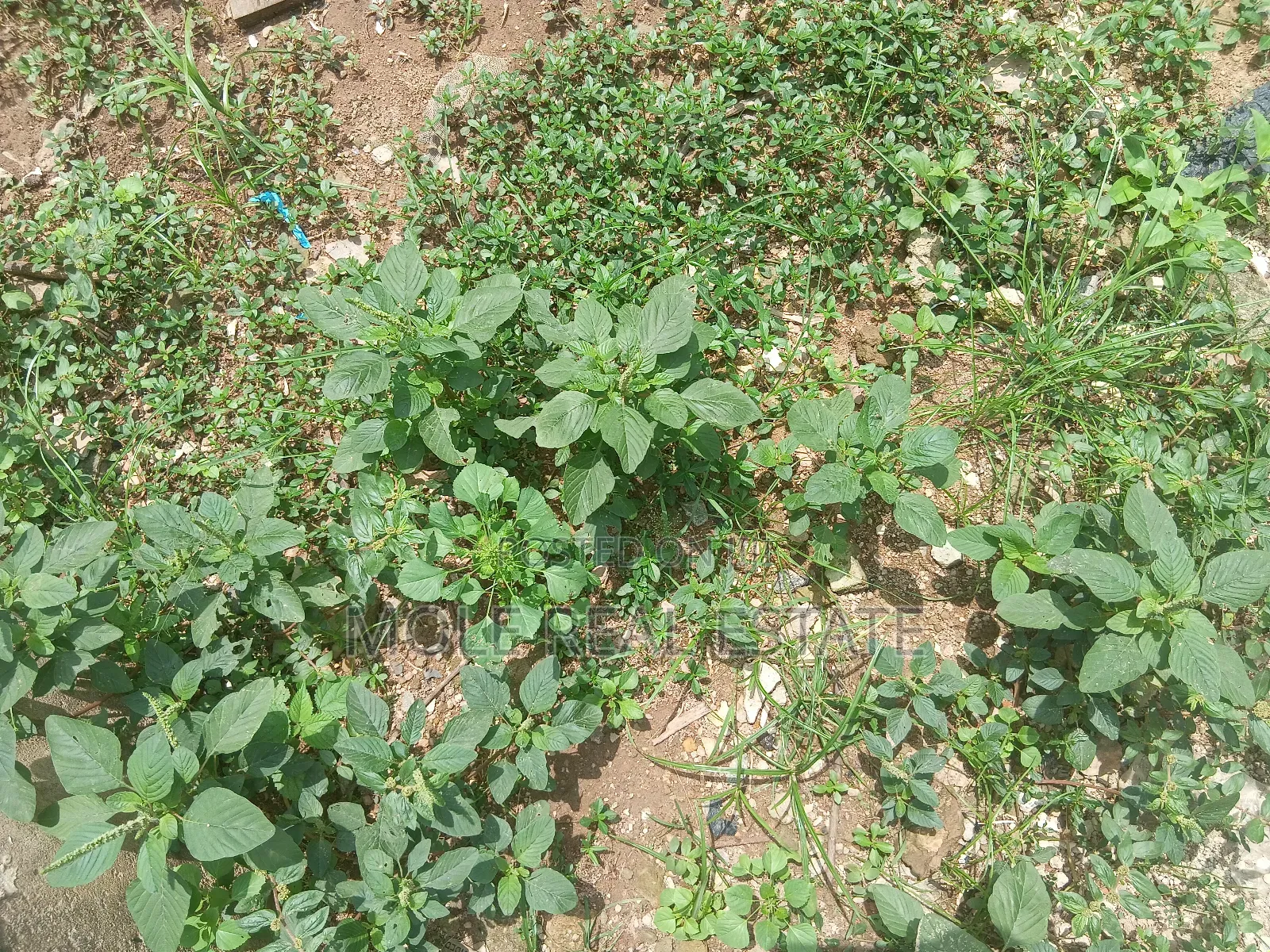838.959sqm Taiye Olowu Off Victoria Arobieke Leki Phase 1 in Lekki Phase 1