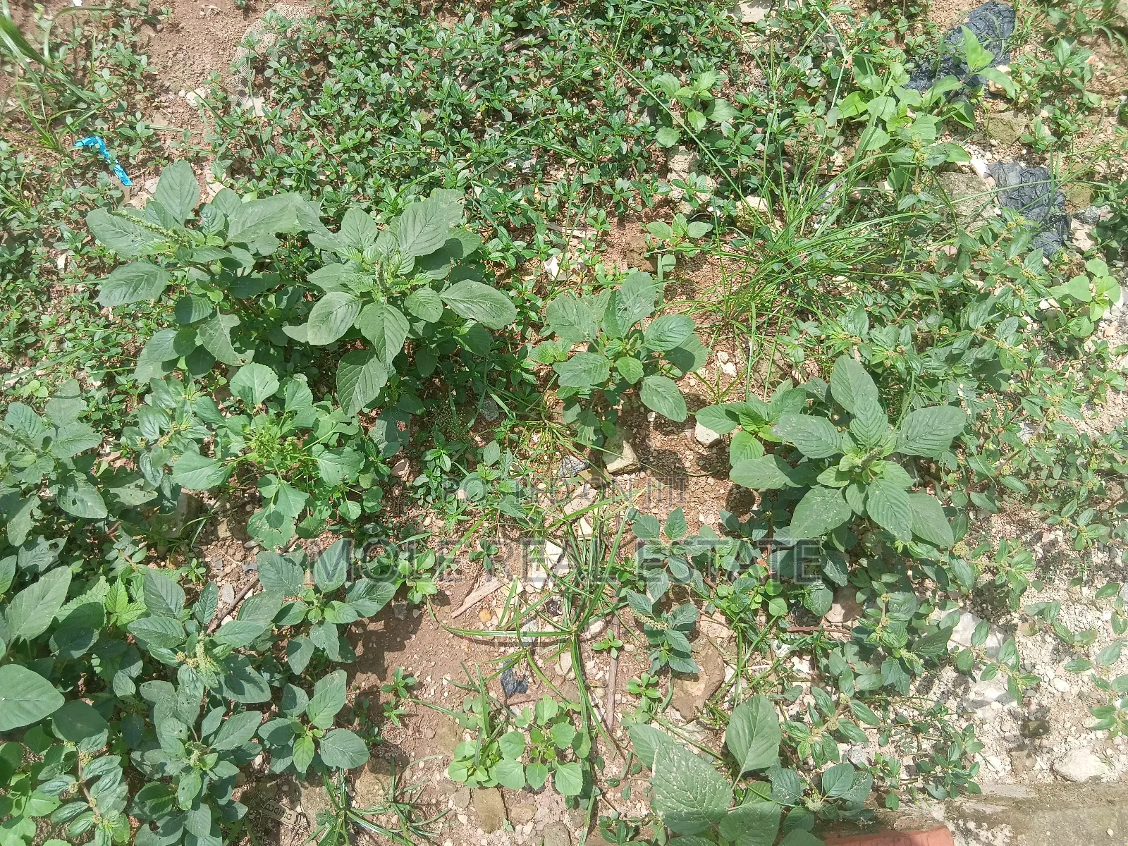 630sqm 4 Sale Plot Jerry Iriabe Leki Phase 1 in Lekki Phase 1