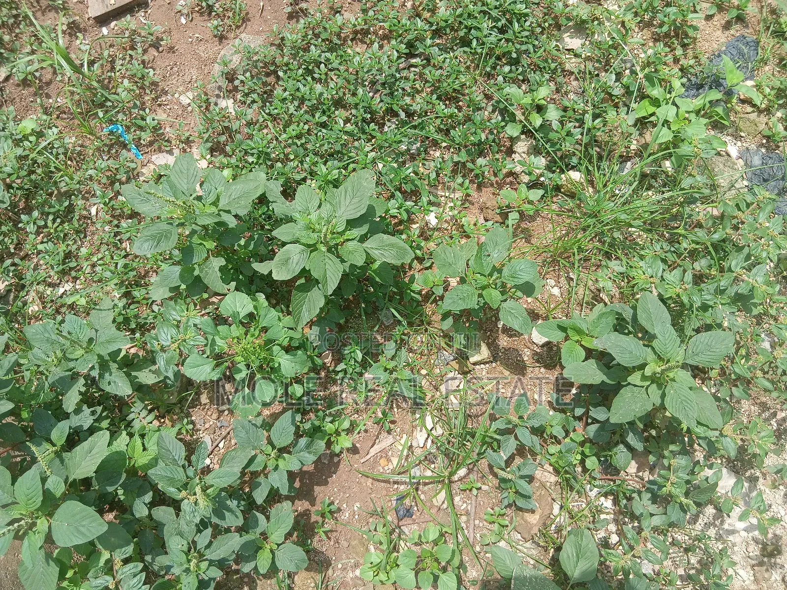 630sqm 4 Sale Plot Jerry Iriabe Leki Phase 1 in Lekki Phase 1