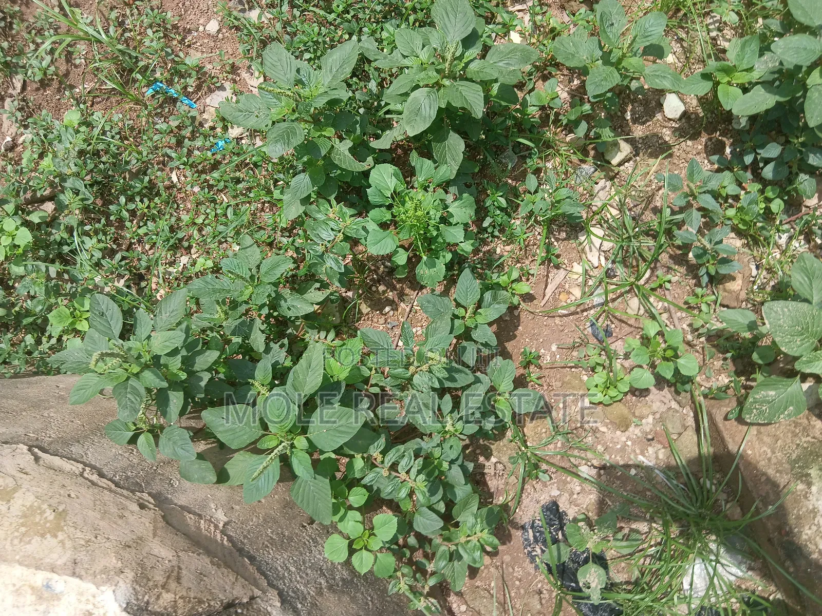 864.218sqm Plot 4 Sale Kenneth Agbakuru Leki Phase 1 in Lekki Phase 1
