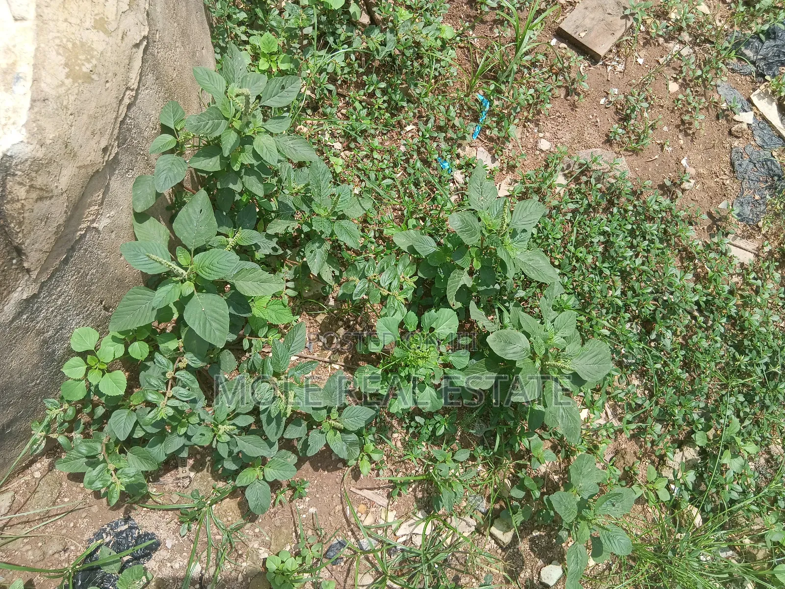 864.218sqm Plot 4 Sale Kenneth Agbakuru Leki Phase 1 in Lekki Phase 1