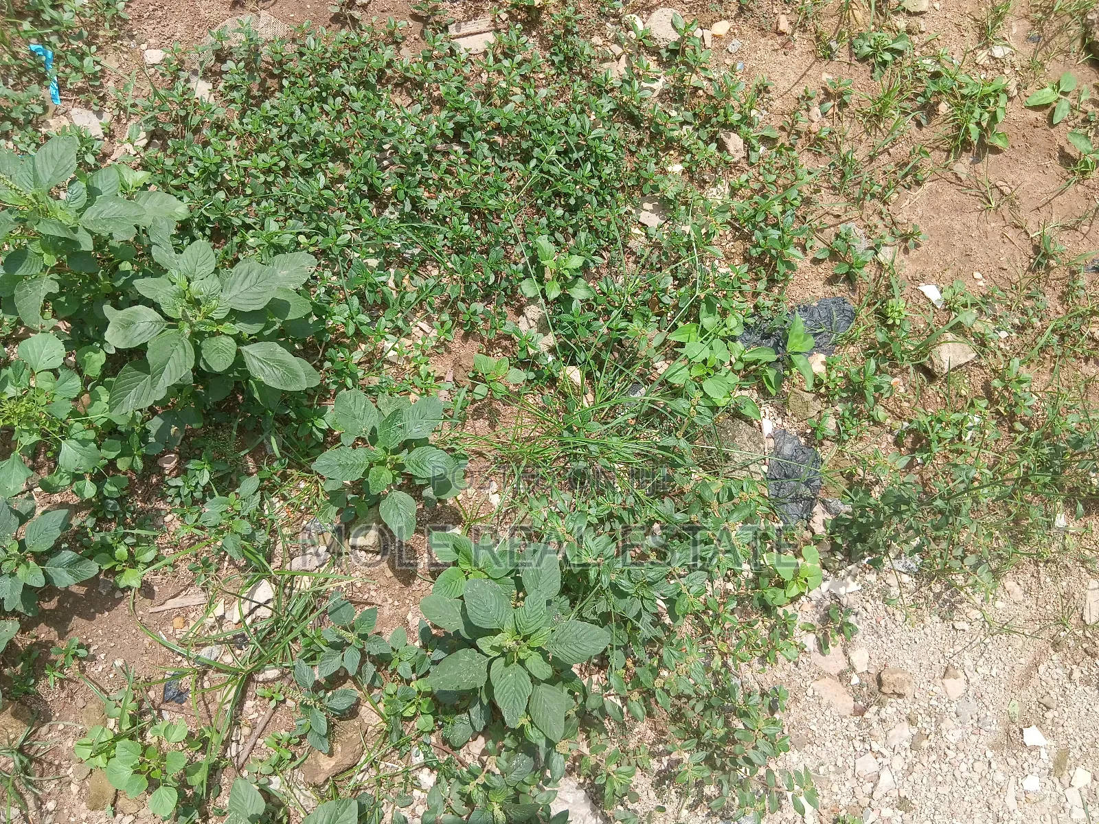 950sqm Plot 4 Sale Fola Osibo Street Leki Phase 1 in Lekki Phase 1