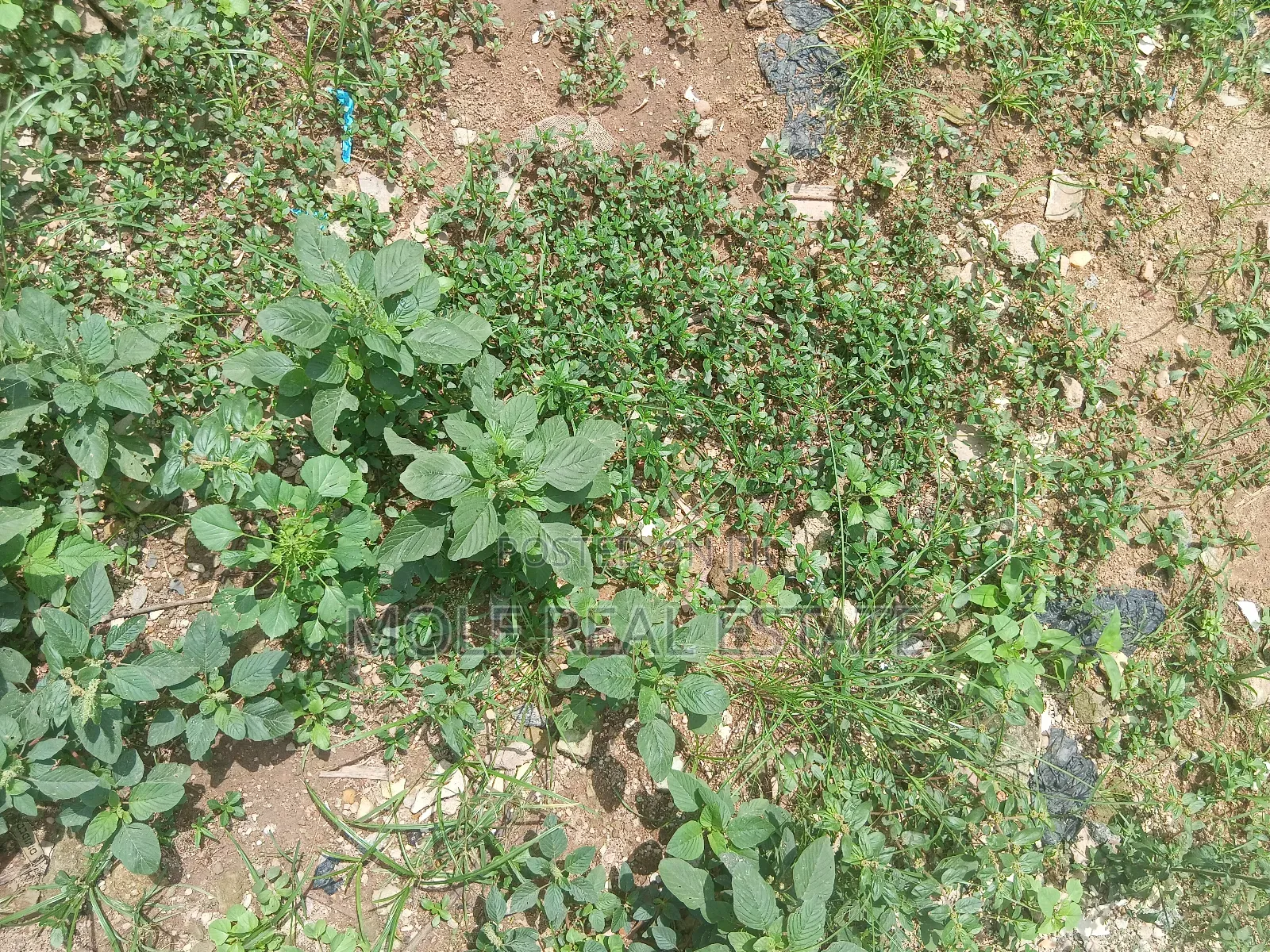950sqm Plot 4 Sale Fola Osibo Street Leki Phase 1 in Lekki Phase 1